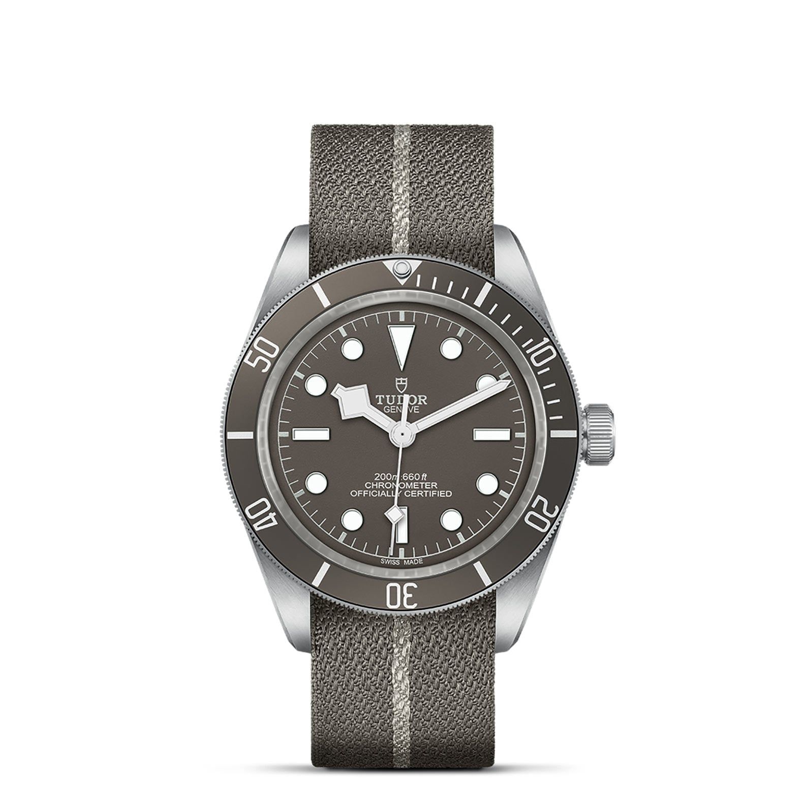 TUDOR Black Bay 58 39 MM M79010SG-0002