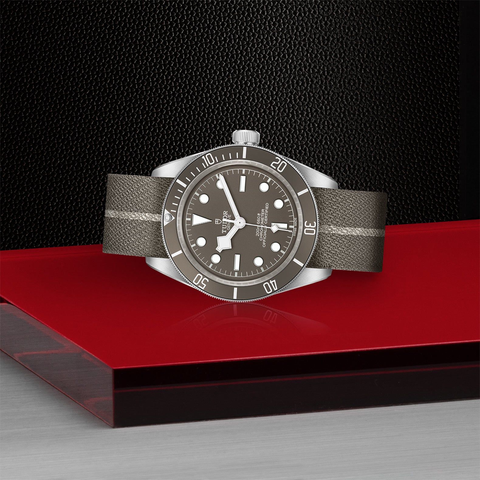 TUDOR Black Bay 58 39 MM M79010SG-0002