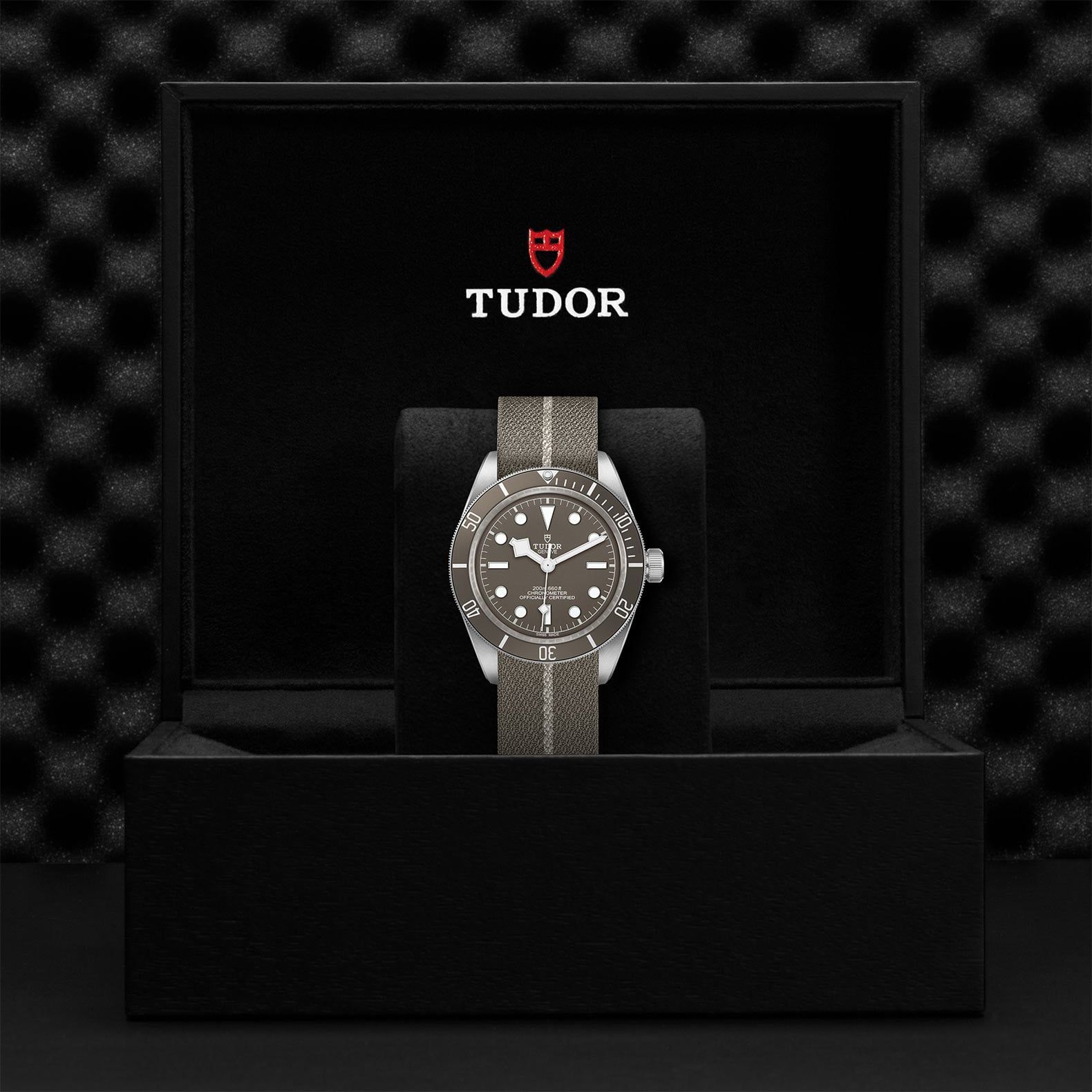 TUDOR Black Bay 58 39 MM M79010SG-0002