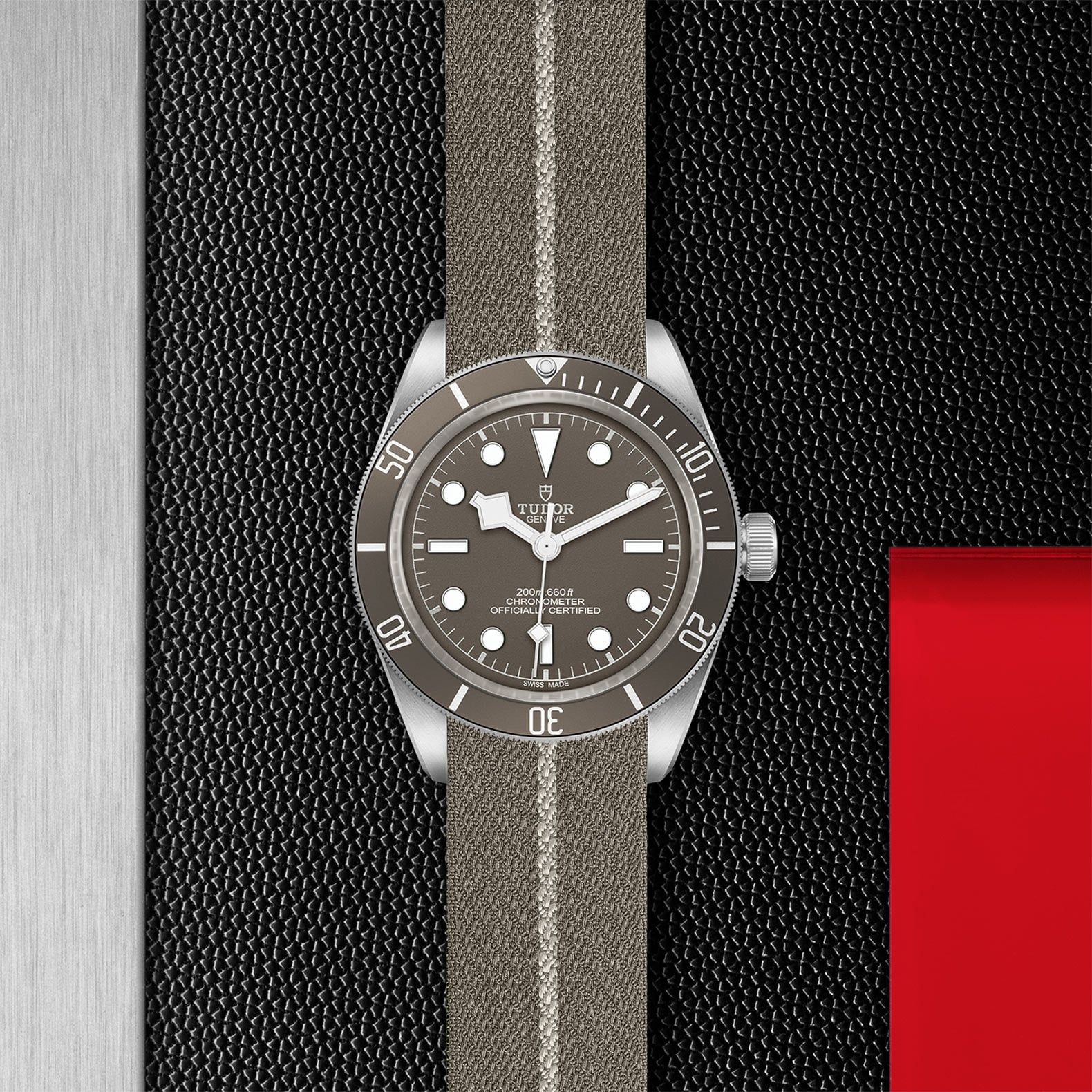 TUDOR Black Bay 58 39 MM M79010SG-0002