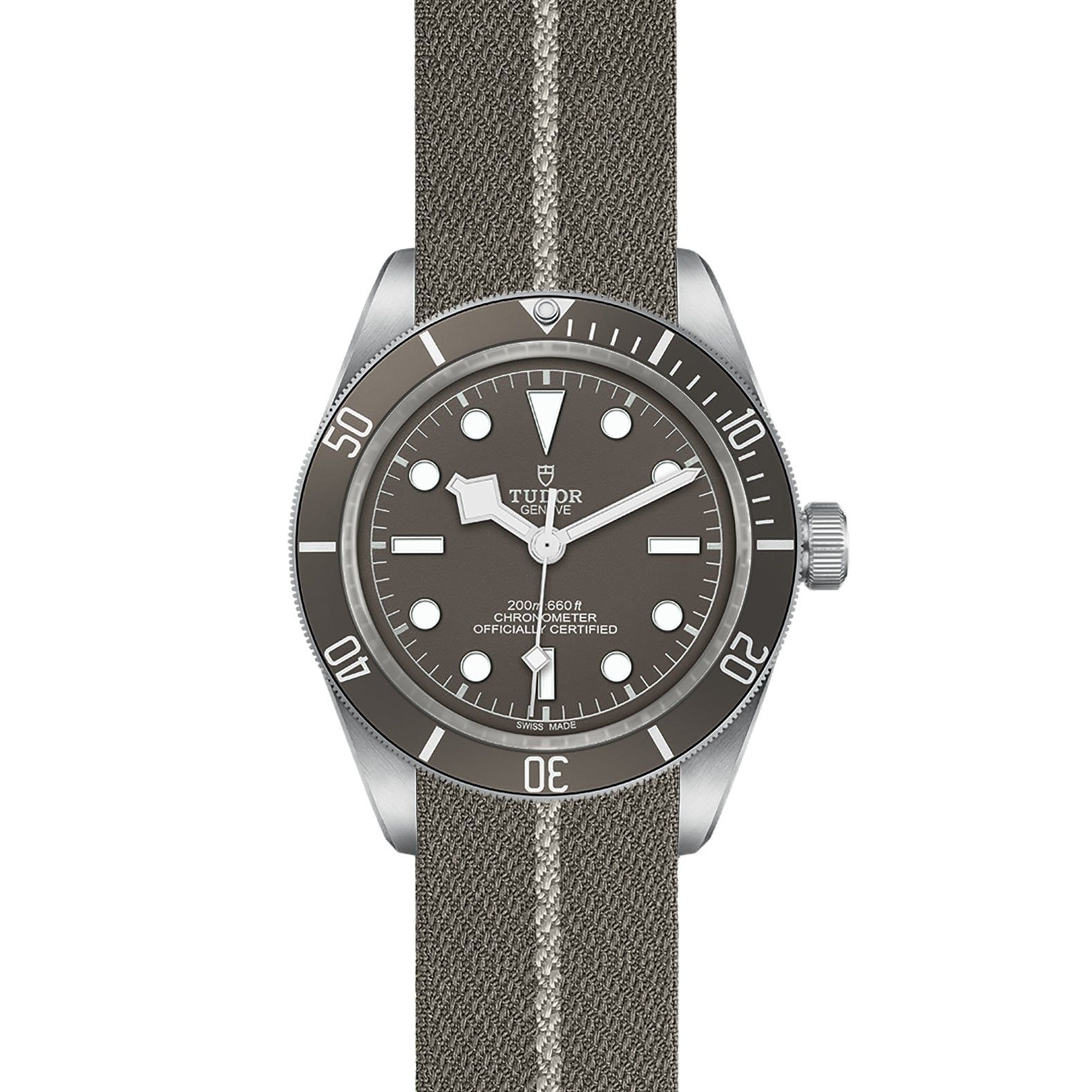 TUDOR Black Bay 58 39 MM M79010SG-0002