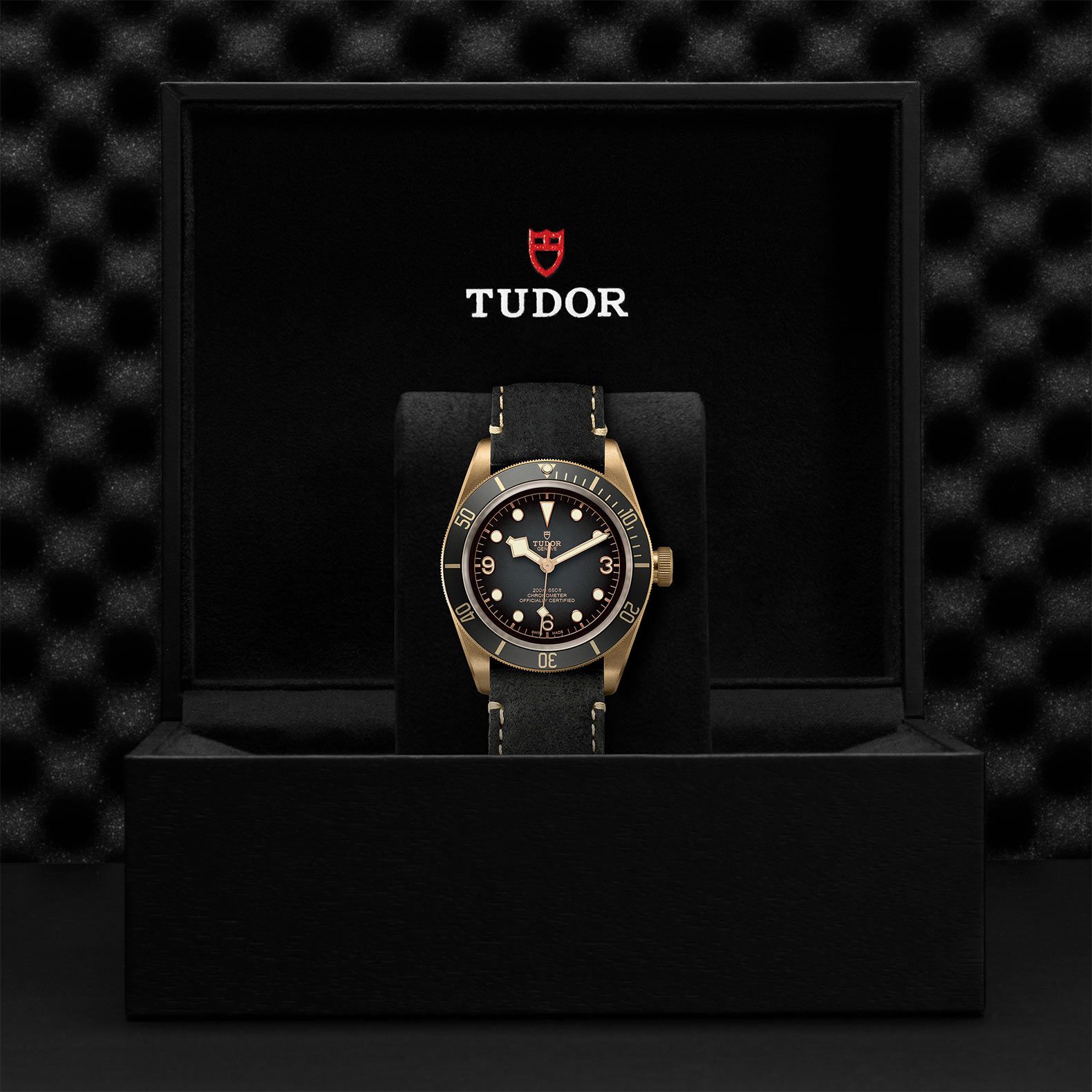 TUDOR Black Bay Bronze 43 MM M79250BA-0001