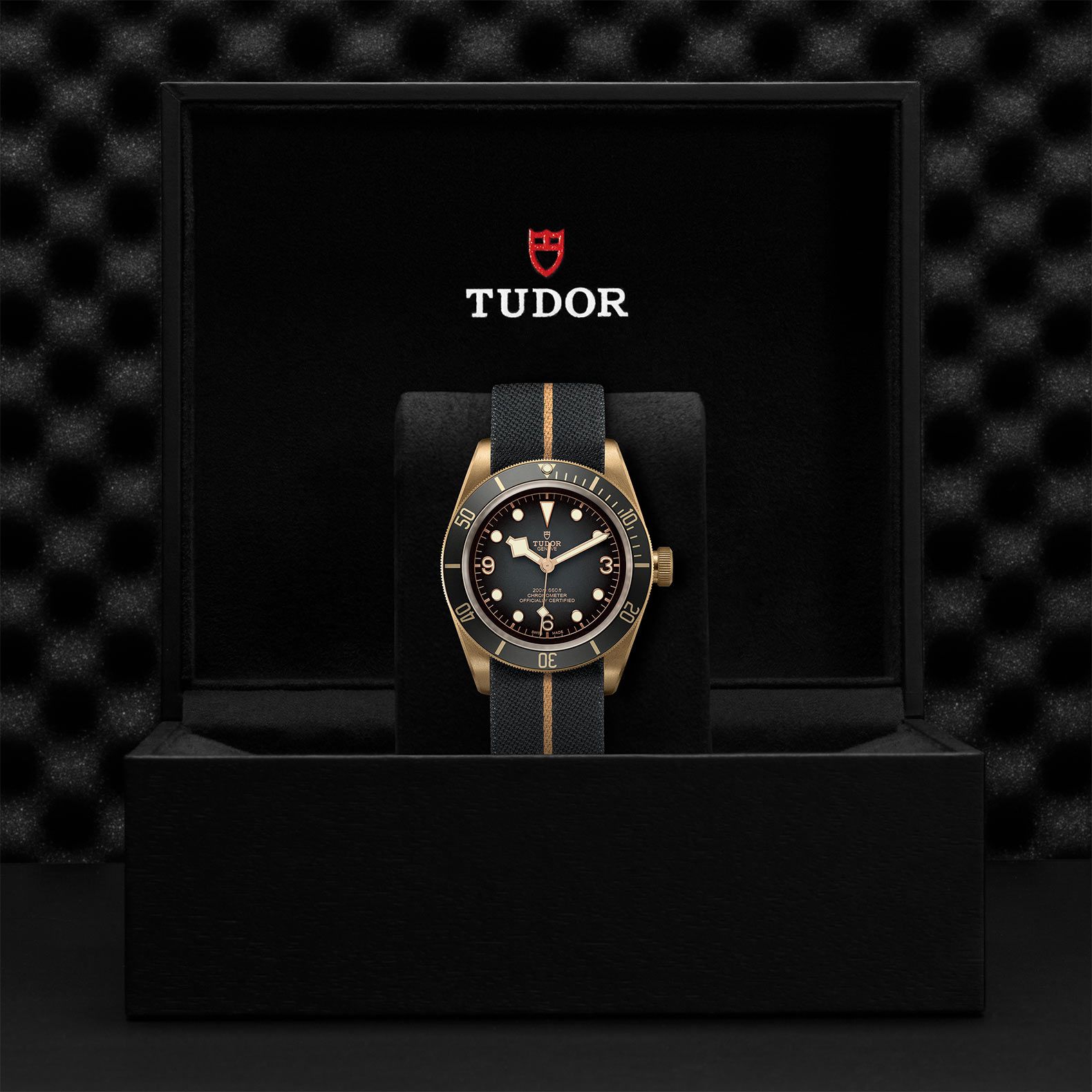 TUDOR Black Bay Bronze 43 MM M79250BA-0002