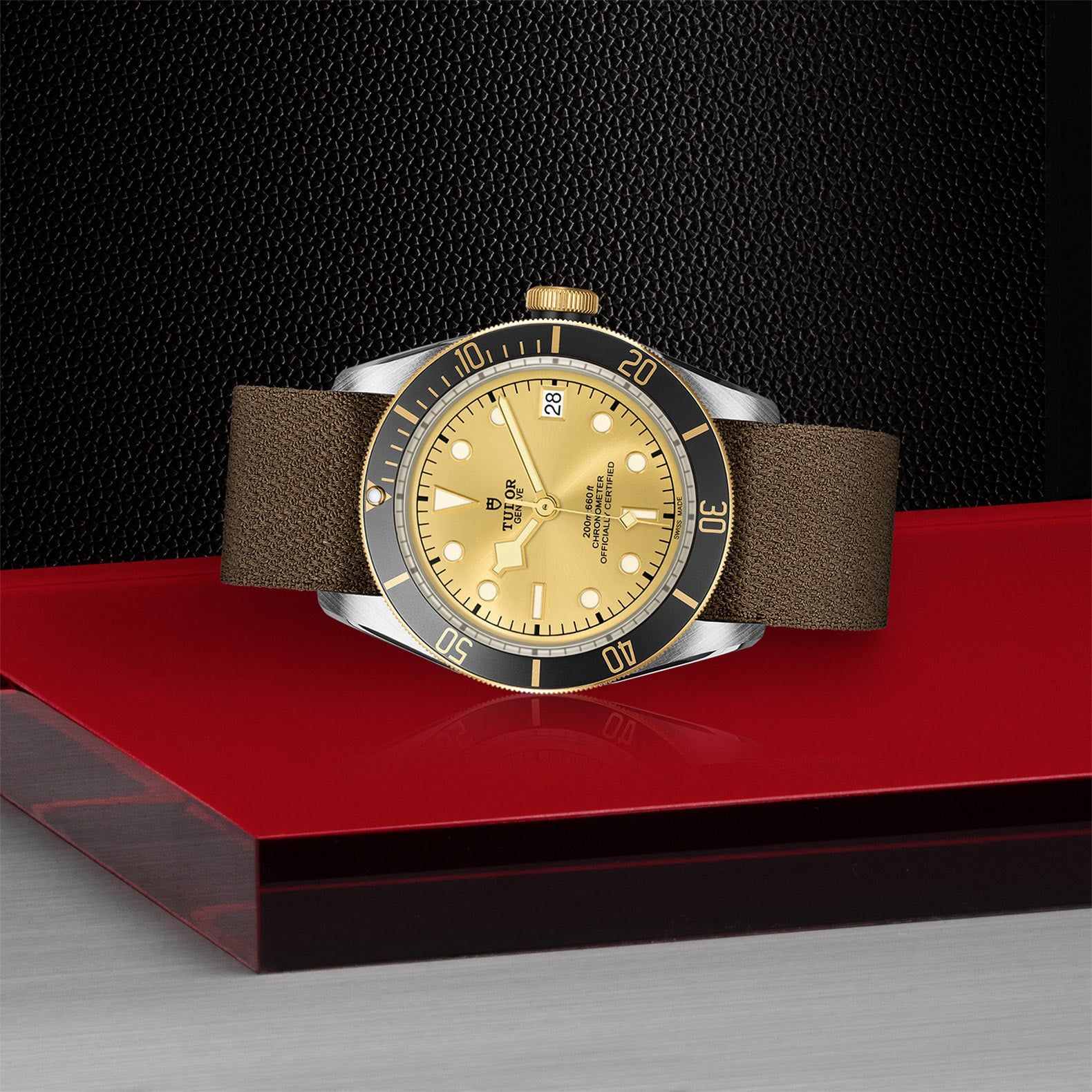 TUDOR Black Bay S&G 41 MM M79733N-0006