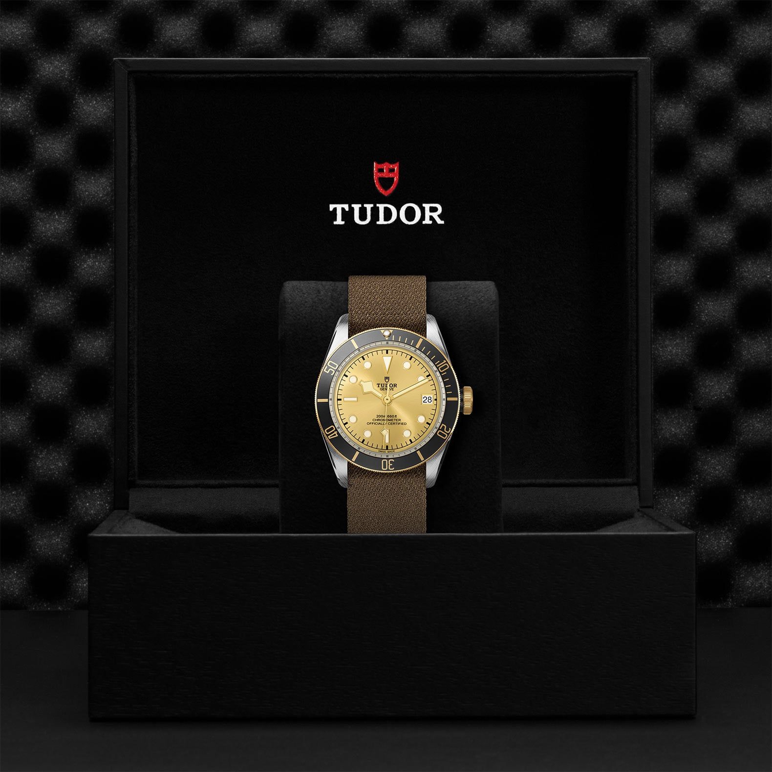 TUDOR Black Bay S&G 41 MM M79733N-0006