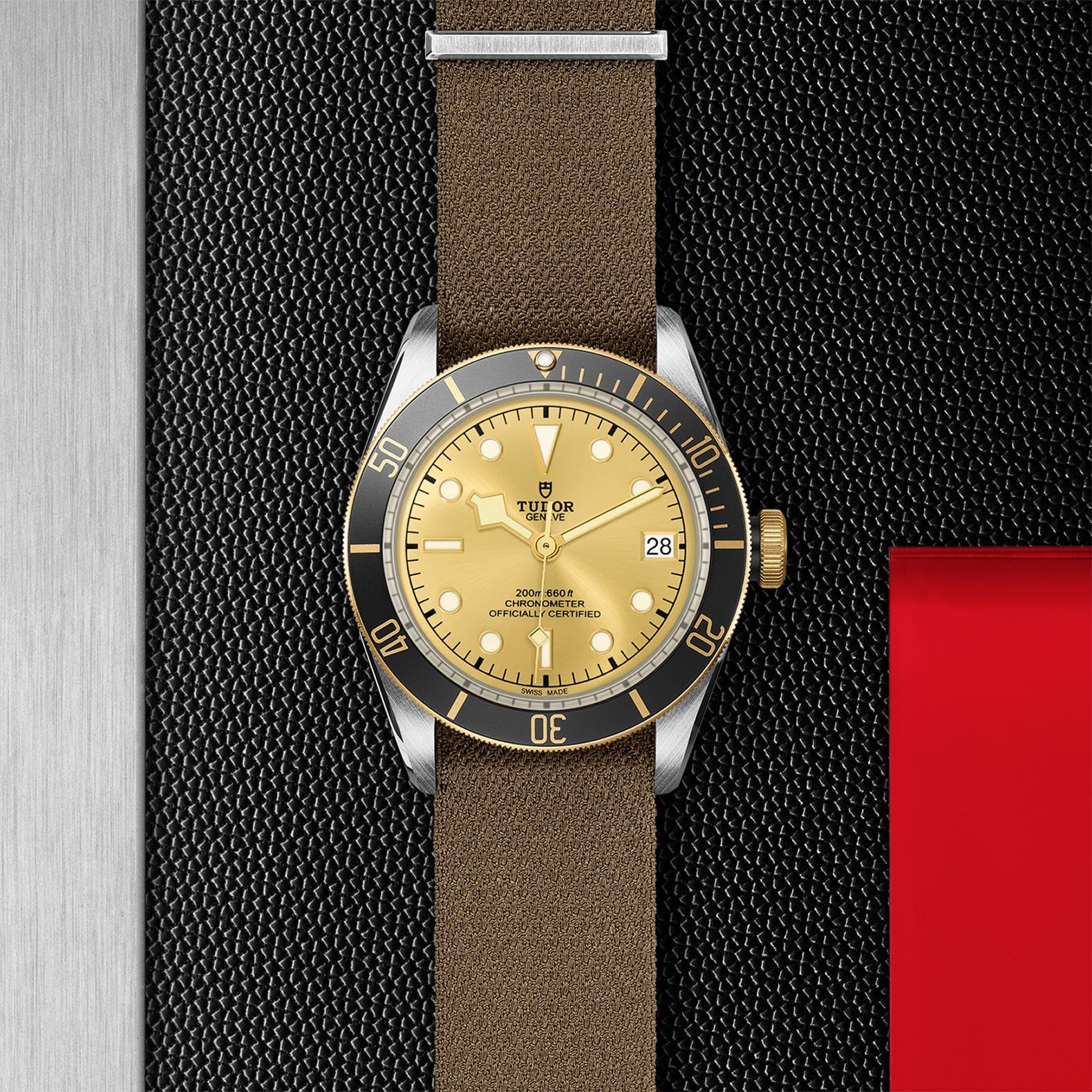 TUDOR Black Bay S&G 41 MM M79733N-0006