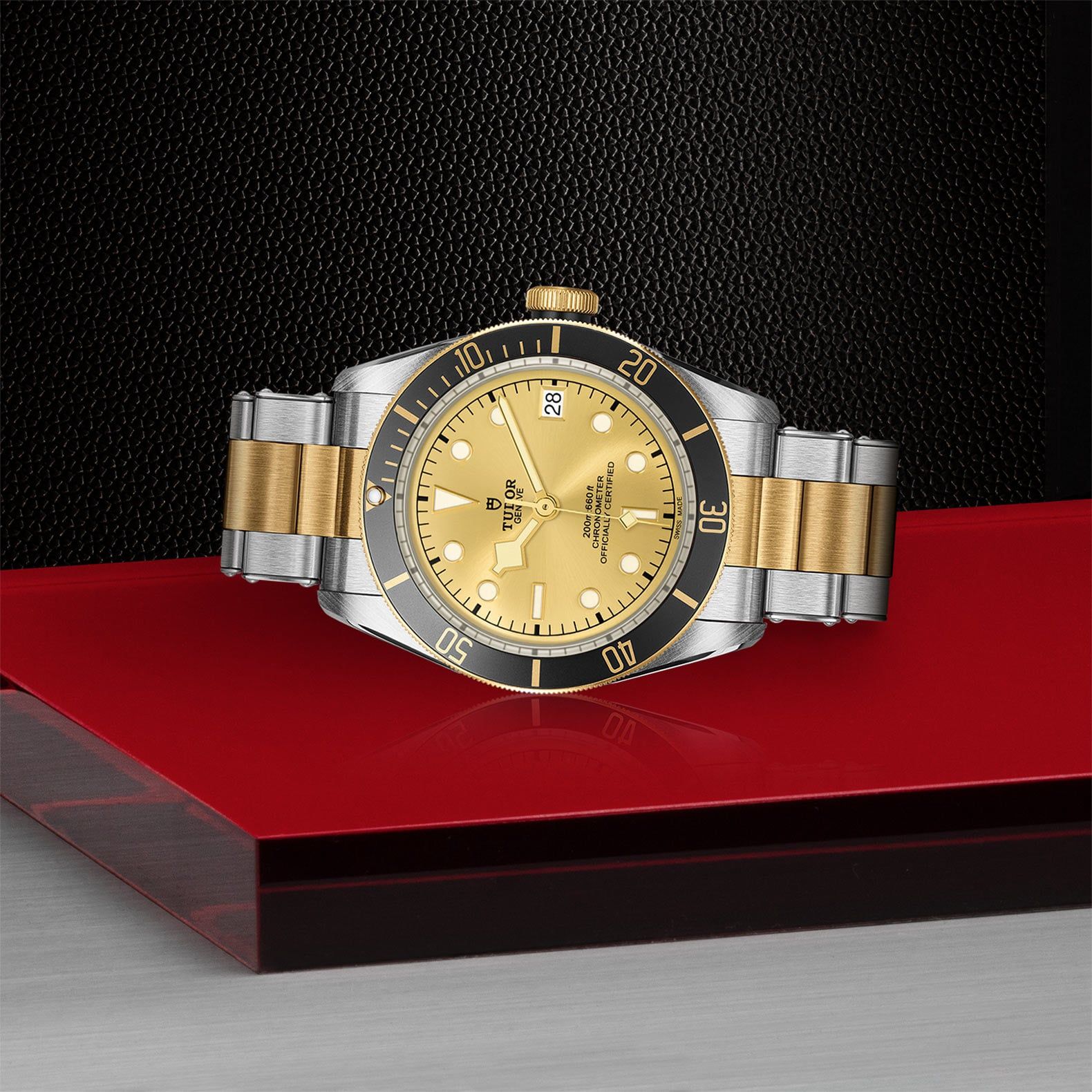 TUDOR Black Bay S&G 41 MM M79733N-0004