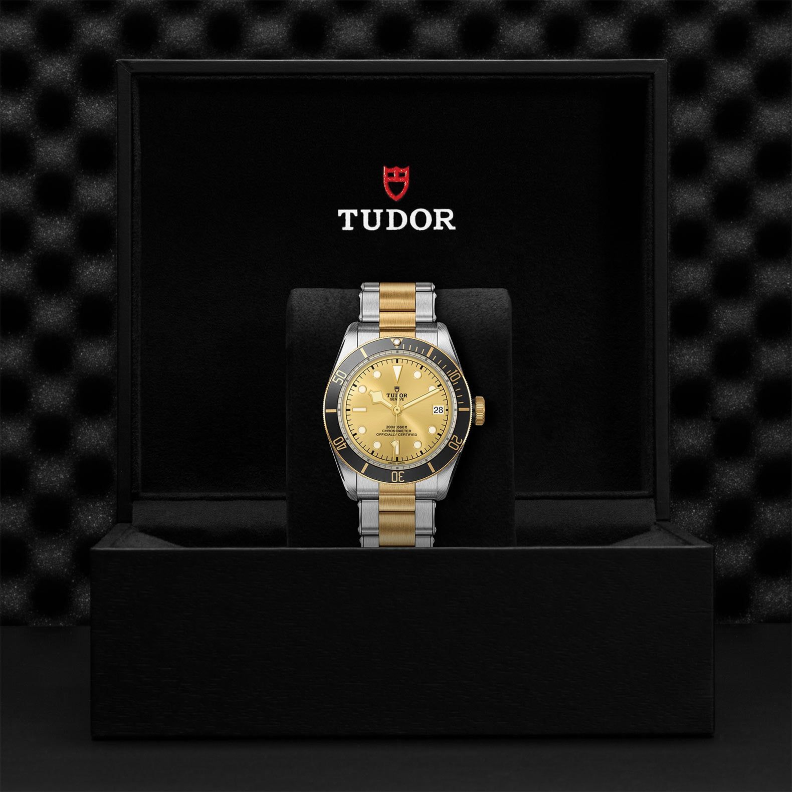 TUDOR Black Bay S&G 41 MM M79733N-0004
