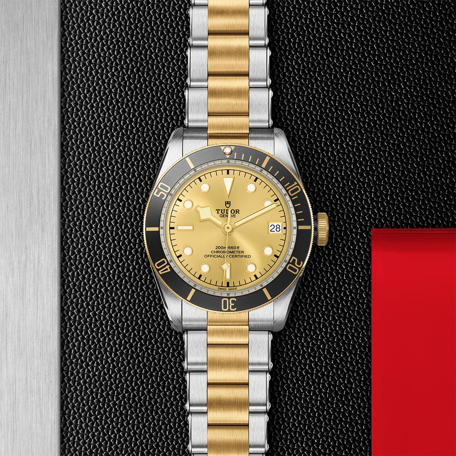 TUDOR Black Bay S&G 41 MM M79733N-0004