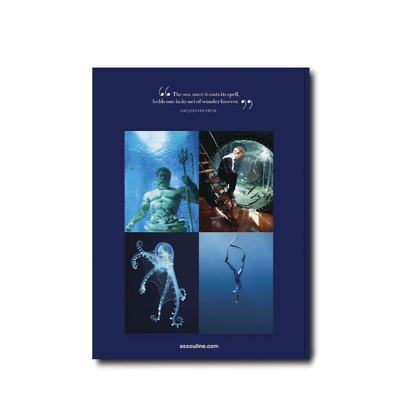 ASSOULINE Libro Ocean Wanderlust 25 x 3.7 x H 33 CM 9781649802644