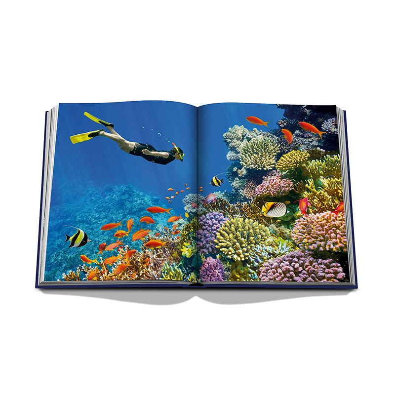 ASSOULINE Libro Ocean Wanderlust 25 x 3.7 x H 33 CM 9781649802644