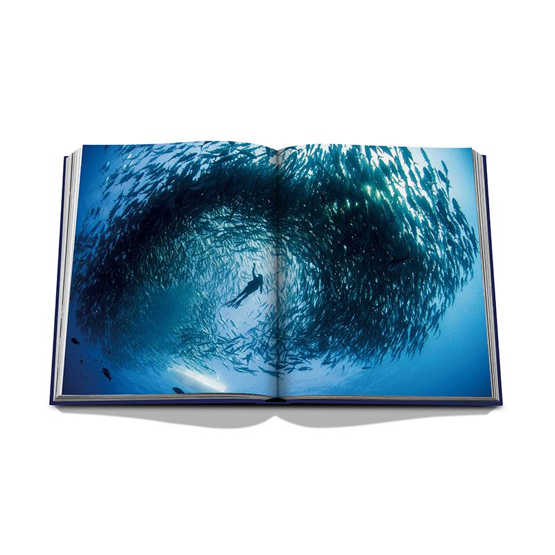 ASSOULINE Libro Ocean Wanderlust 25 x 3.7 x H 33 CM 9781649802644