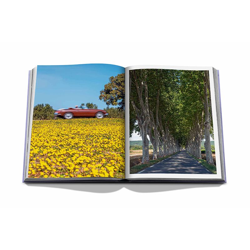 ASSOULINE Libro Provence Glory 24.8 x 3.8 x H 33 CM 9781614289821