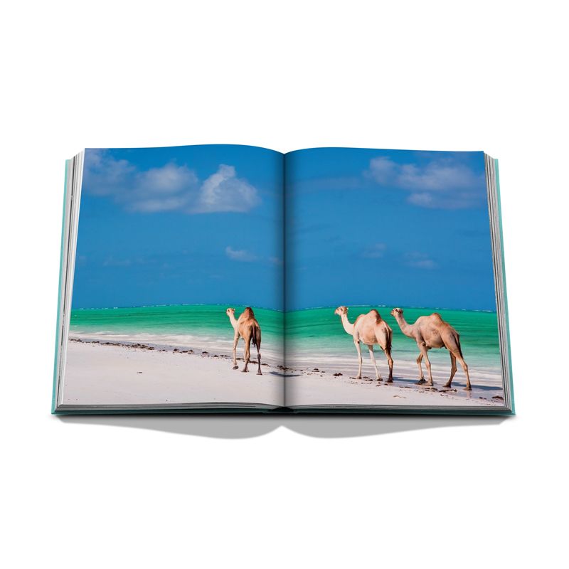 ASSOULINE Libro Saudi Arabia: Red Sea, The Saudi Coast 24.8 x 3.2 x H 33 CM 9781649800848
