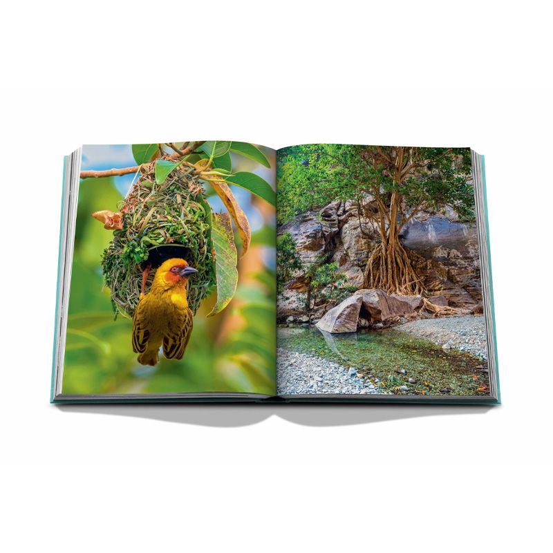 ASSOULINE Libro Saudi Arabia: Red Sea, The Saudi Coast 24.8 x 3.2 x H 33 CM 9781649800848