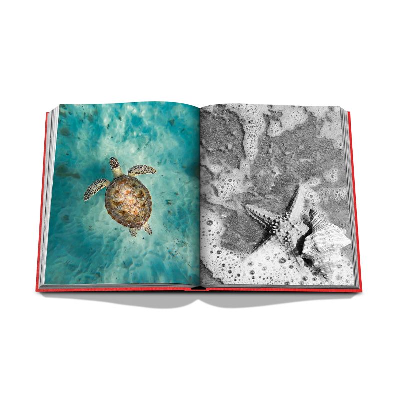ASSOULINE Libro St. Barths Freedom 25 x 3.9 x H 33 CM 9781649801425