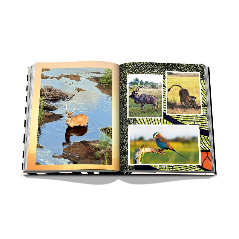 ASSOULINE Libro African Adventures: The Greatest Safari on Earth 25 x 5.8 x H 33 CM 9781649801999