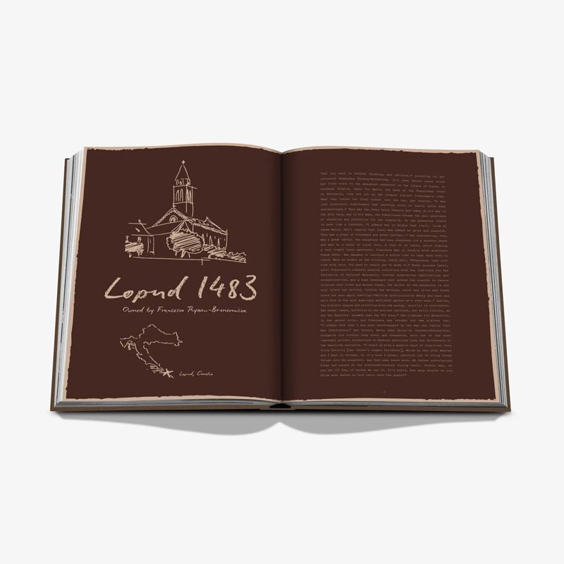 ASSOULINE Libro Secret Stays 24.7 x 3.8 x H 32.8 CM 9781649803313