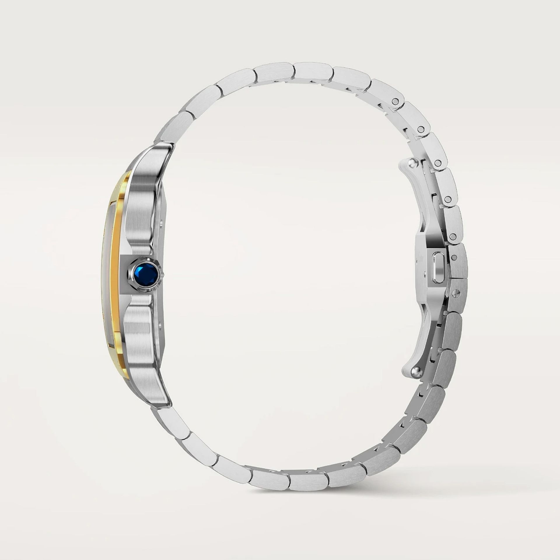 CARTIER Santos De Cartier Modello Grande, Acciaio, Oro Giallo 39.8 MM W2SA0030