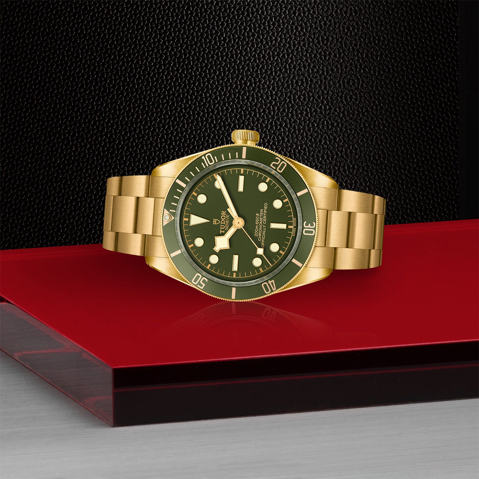 TUDOR Black Bay 58 39 MM M79018V-0006