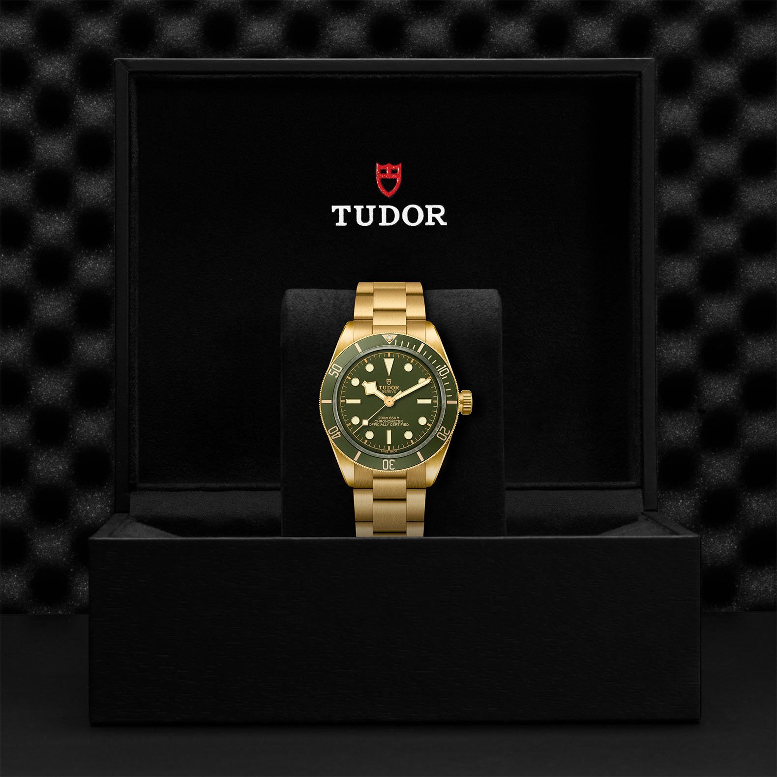 TUDOR Black Bay 58 39 MM M79018V-0006