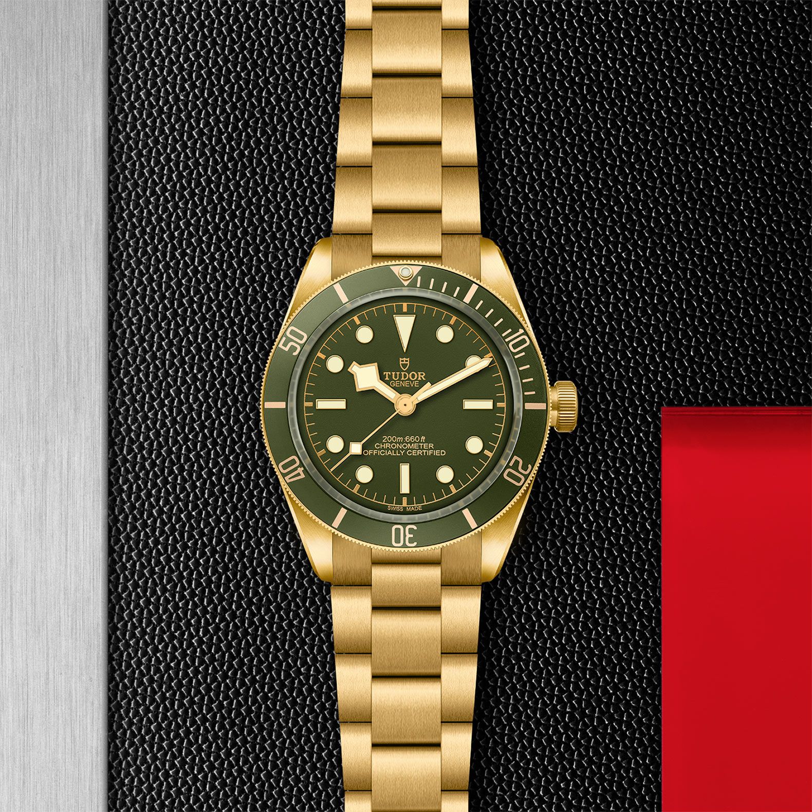 TUDOR Black Bay 58 39 MM M79018V-0006
