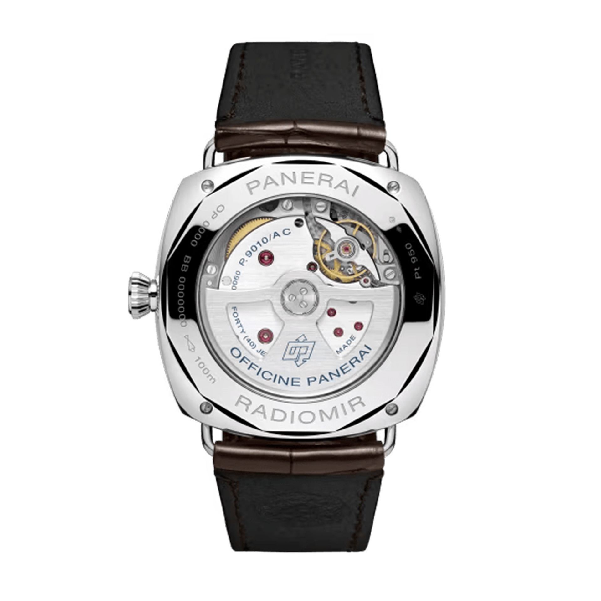 PANERAI Radiomir Annual Calendar Platinumtech™ 45 MM PAM01364