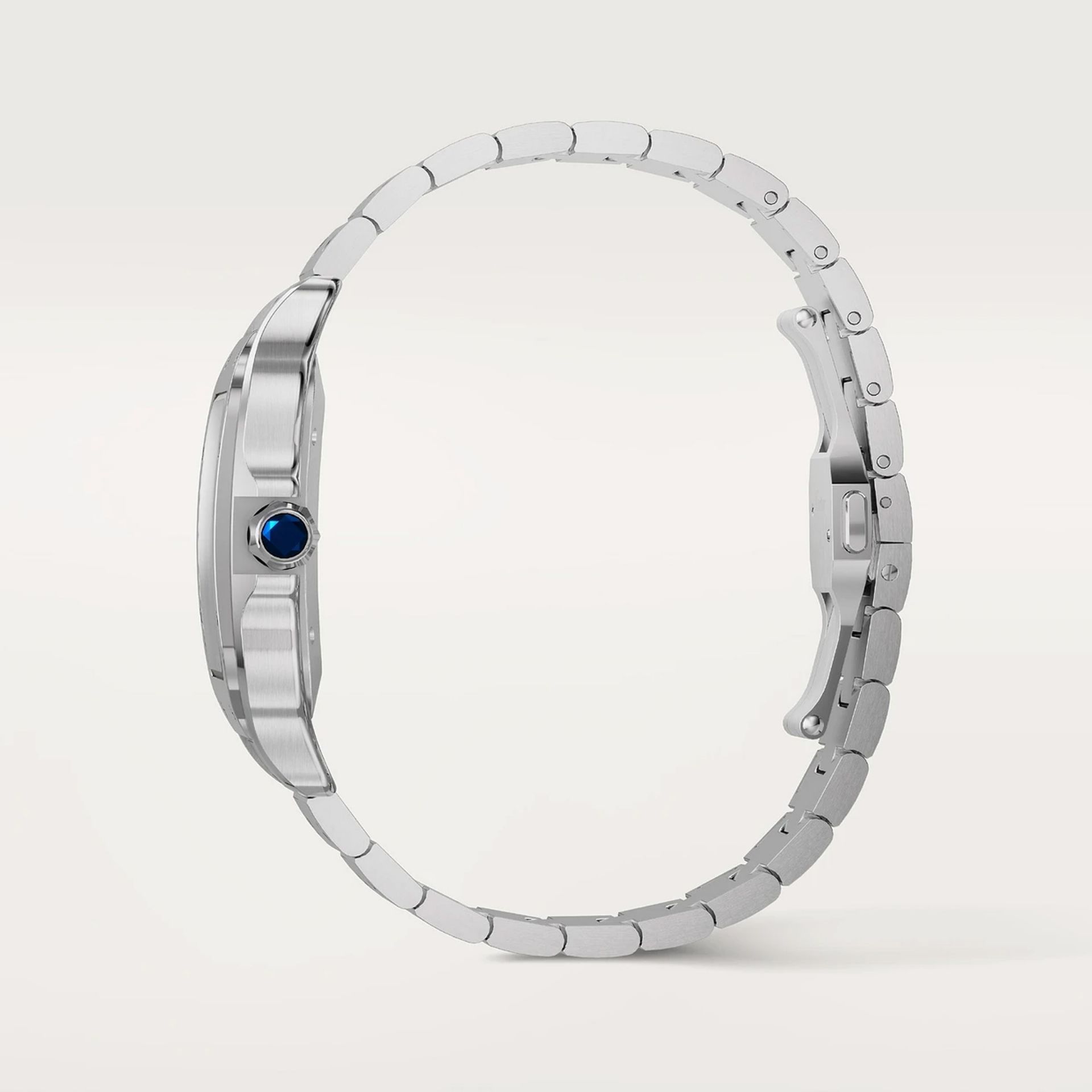 CARTIER Santos De Cartier Modello Grande, Acciaio 39.8 MM WSSA0071