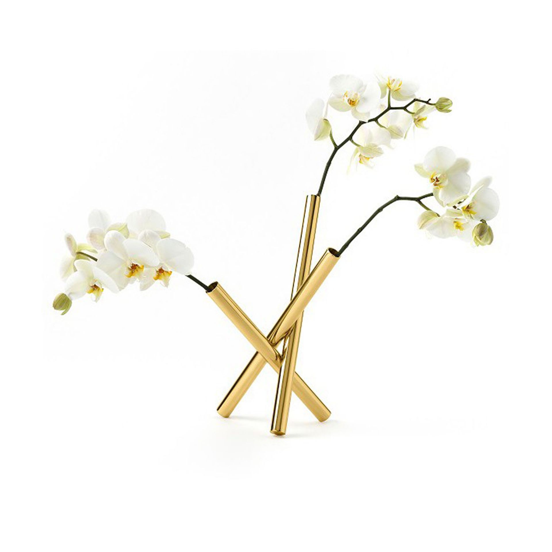 Ghidini 1961 Portafiori Sticks (Campana Brothers)  CB501PB102