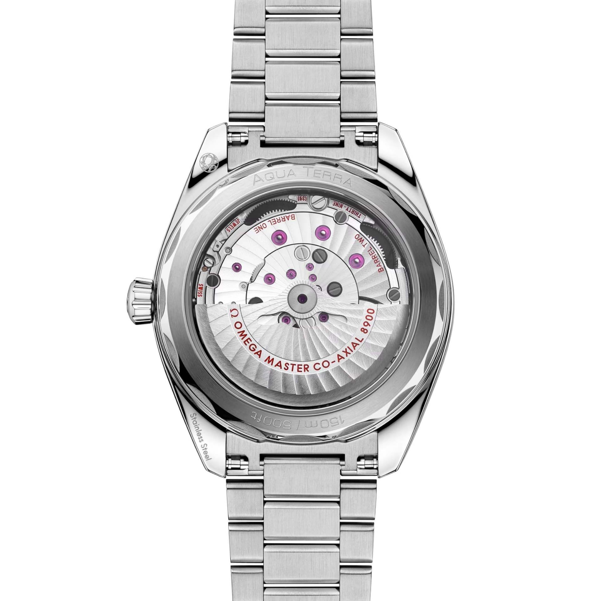 OMEGA Seamaster Aqua Terra 150M 41 MM 220.10.41.21.01.002