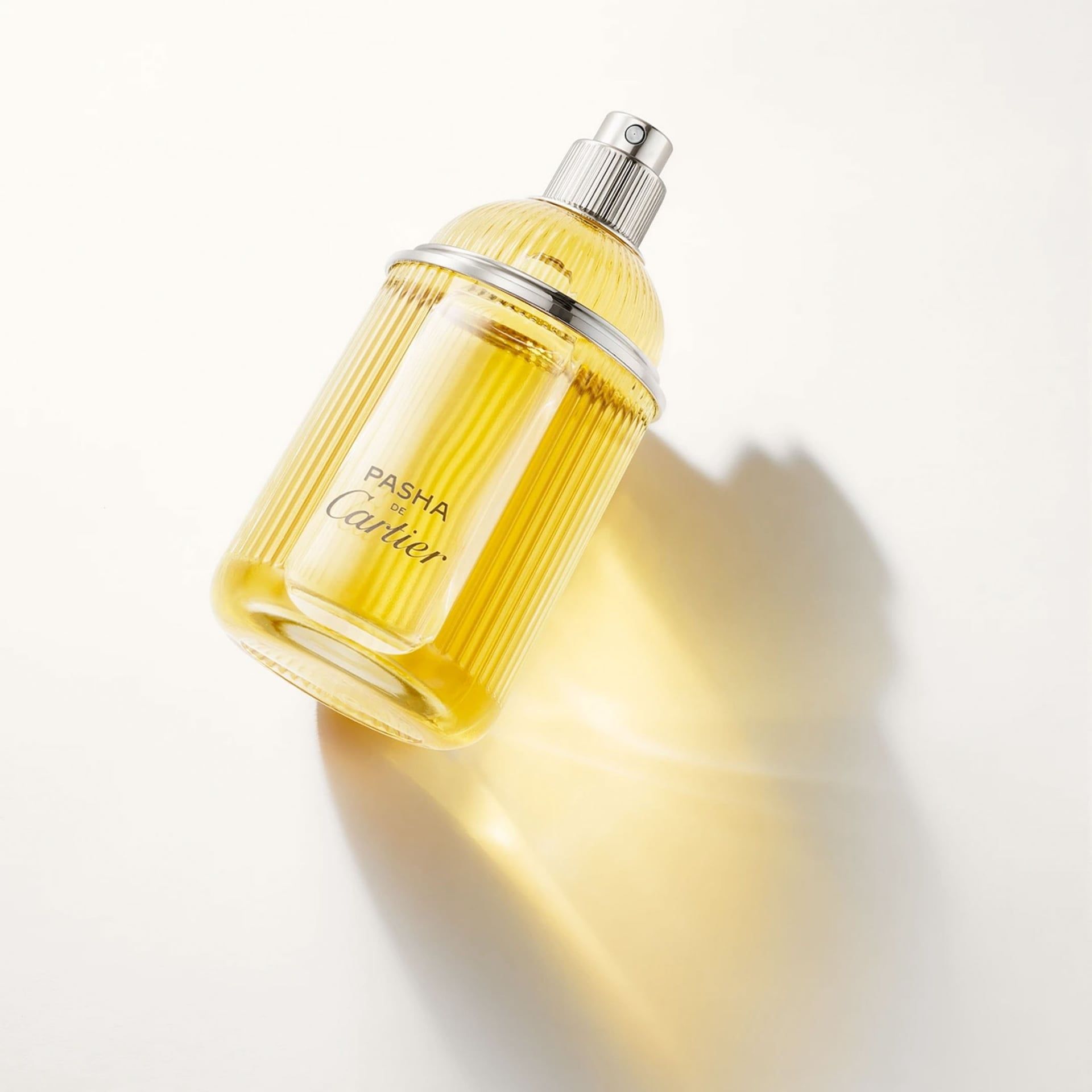 CARTIER Pasha De Cartier Parfum Uomo 100 ml 65100036