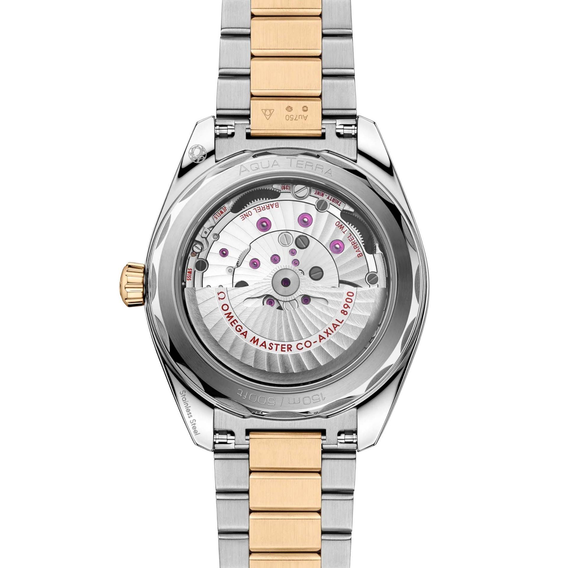 OMEGA Seamaster Aqua Terra 150M 41 MM 220.20.41.21.01.001