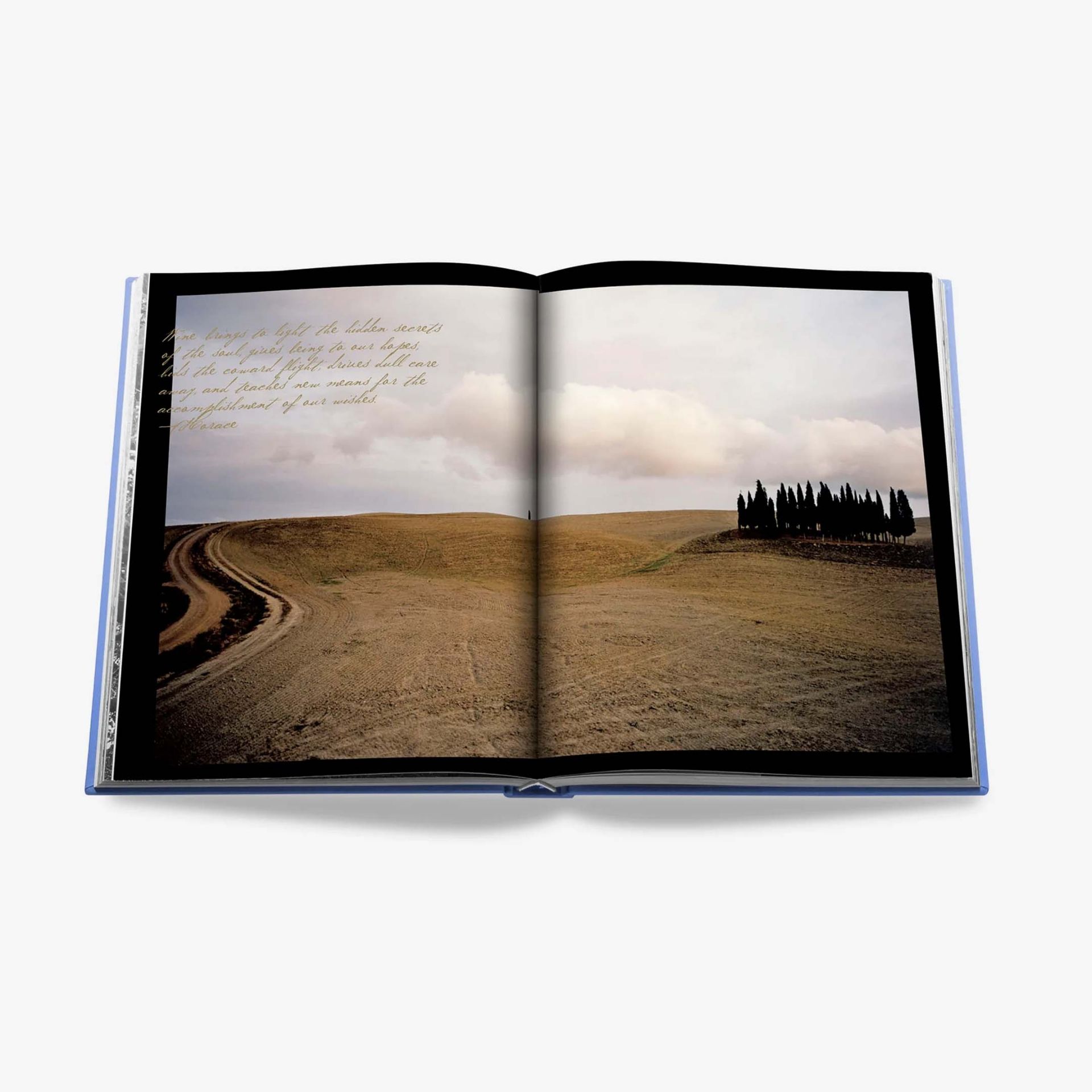 ASSOULINE Libro The Italian Dream 25 x 5 x H 33 CM 9781614285199