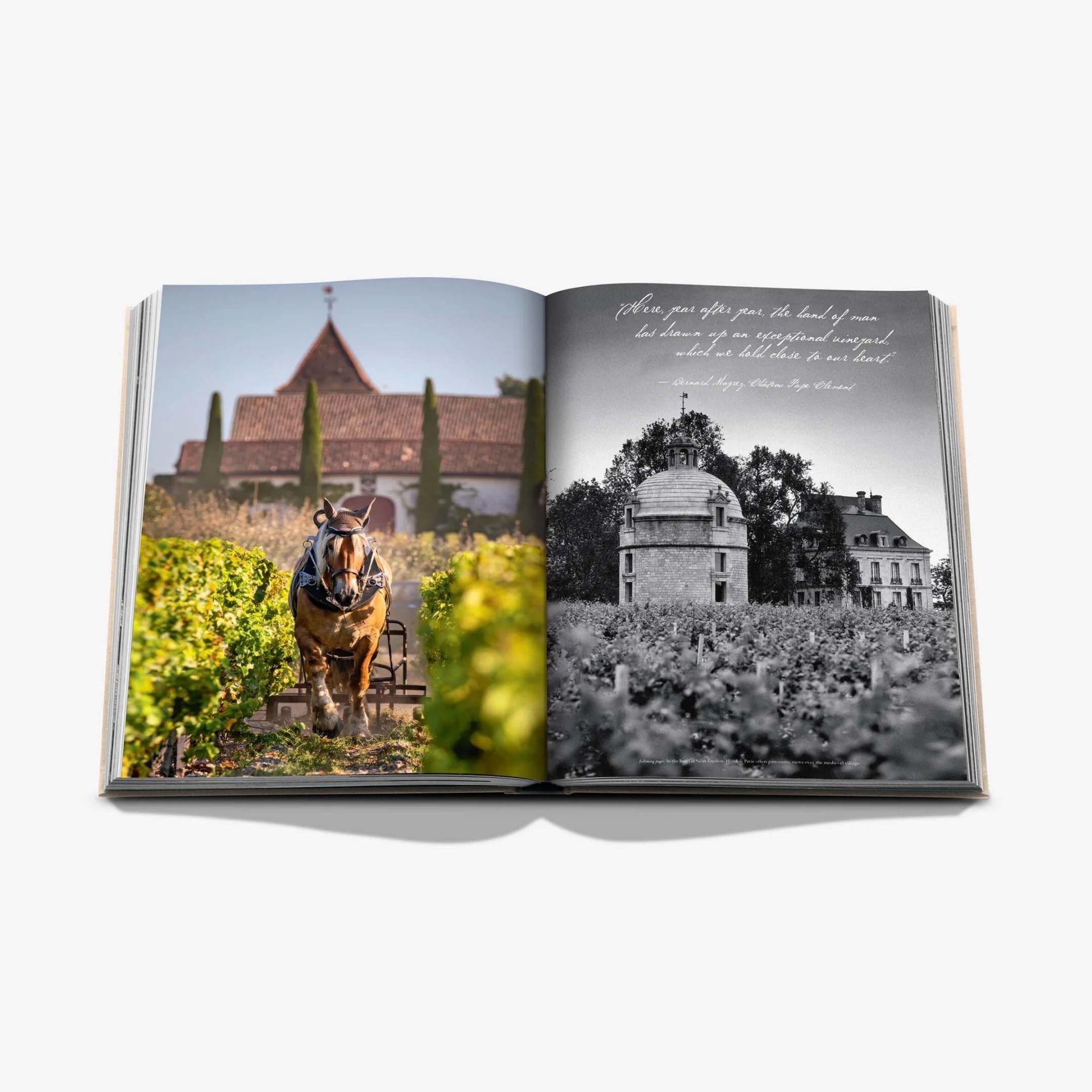 ASSOULINE Libro Wine & Travel France 25 x 3 x H 33 CM 9781649803849