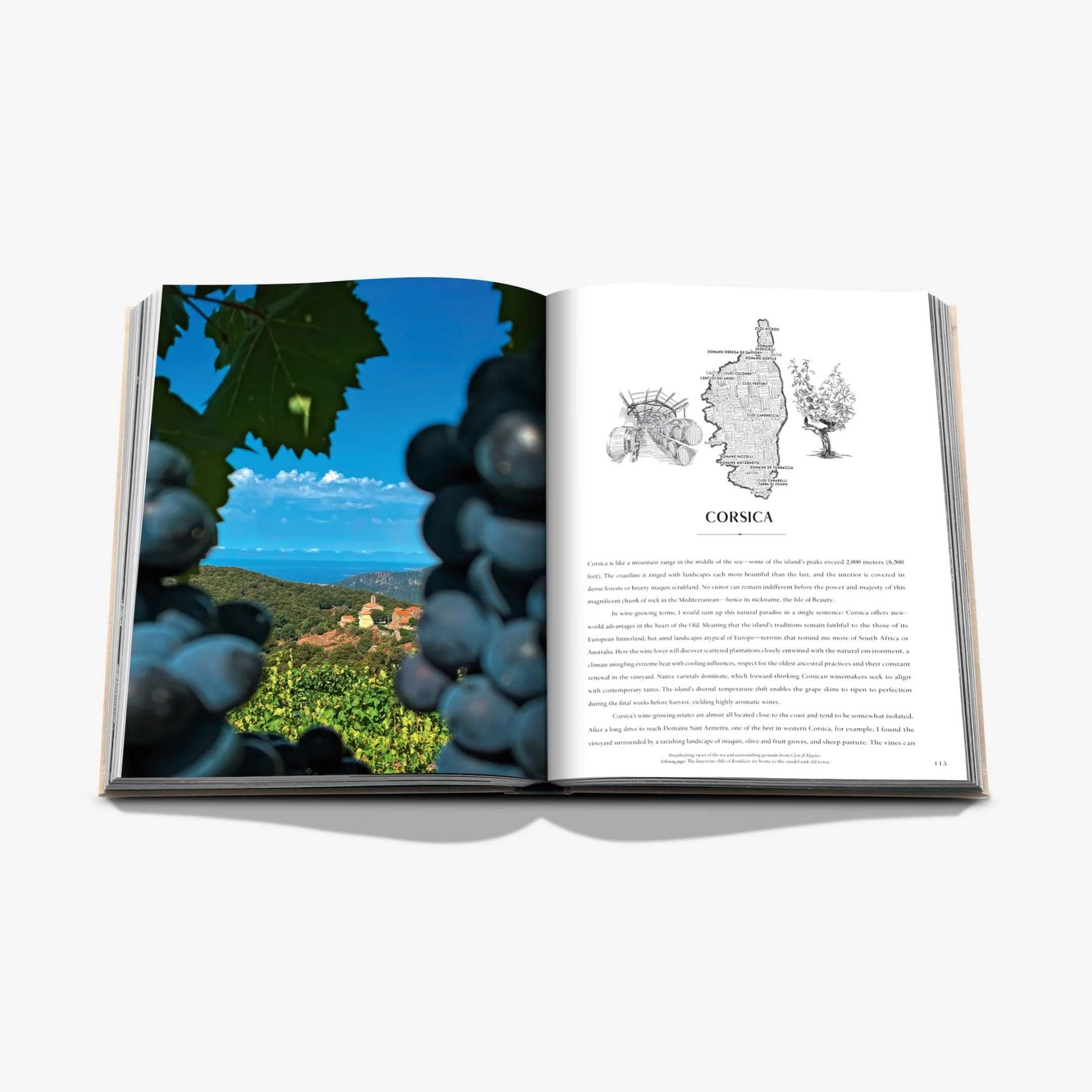 ASSOULINE Libro Wine & Travel France 25 x 3 x H 33 CM 9781649803849
