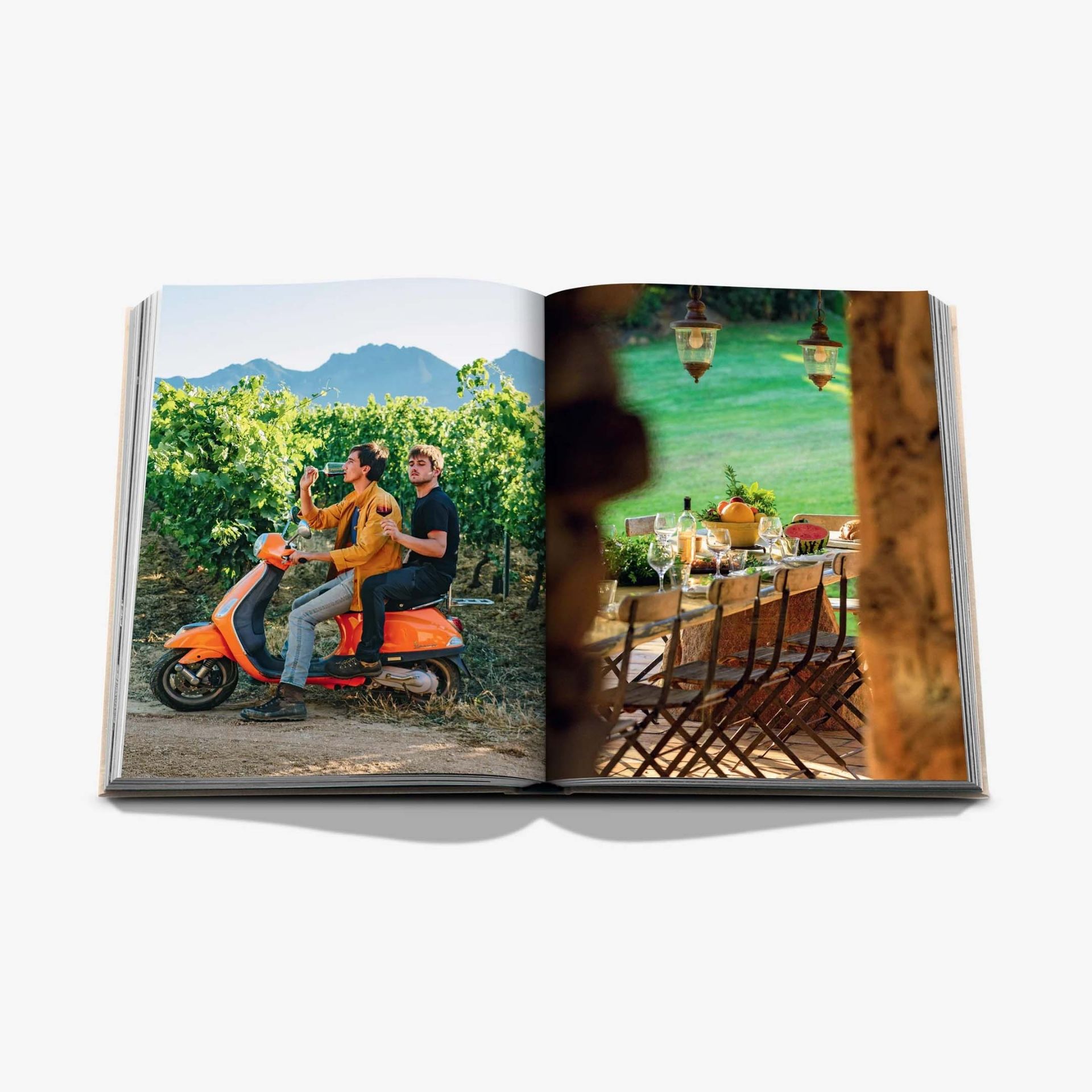 ASSOULINE Libro Wine & Travel France 25 x 3 x H 33 CM 9781649803849