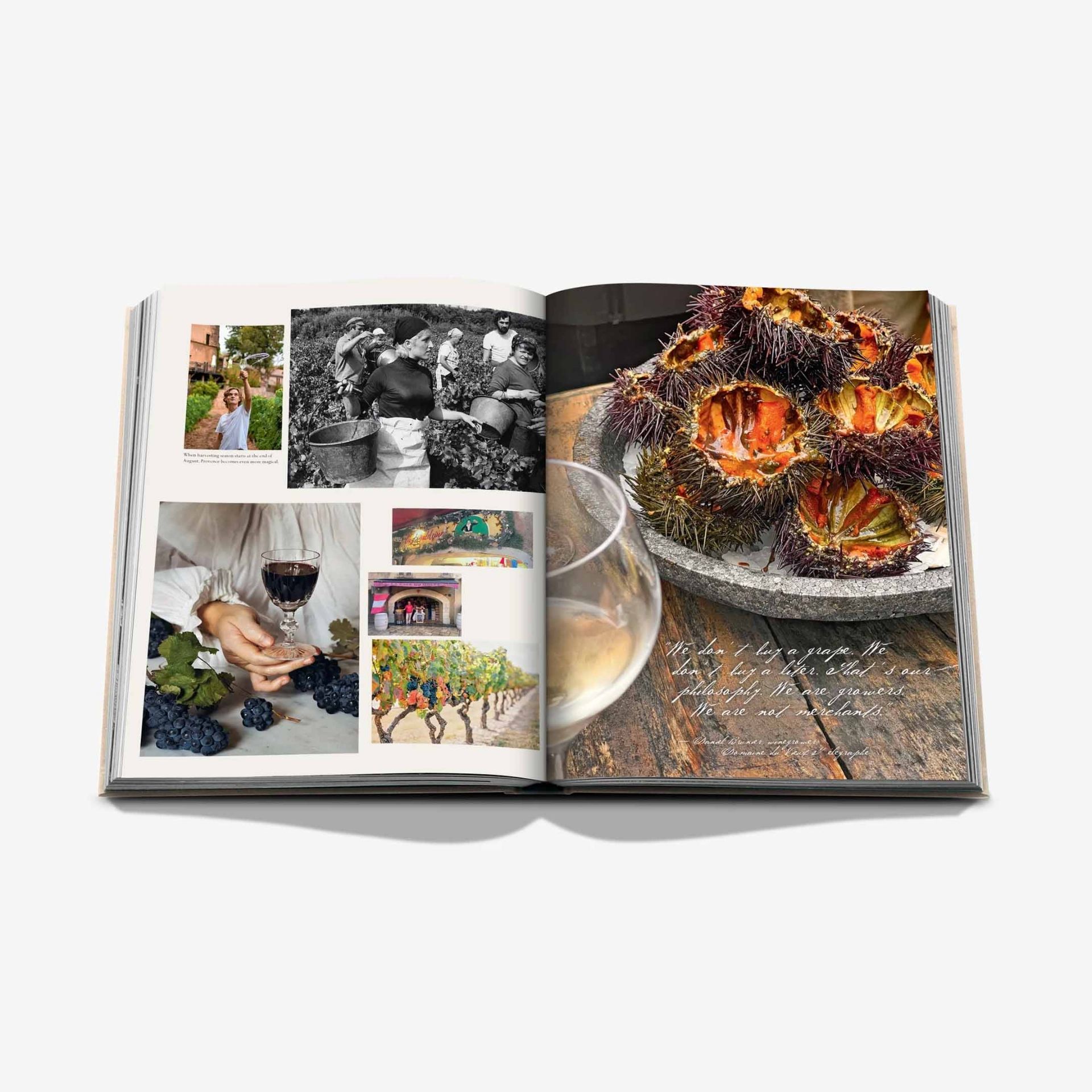 ASSOULINE Libro Wine & Travel France 25 x 3 x H 33 CM 9781649803849