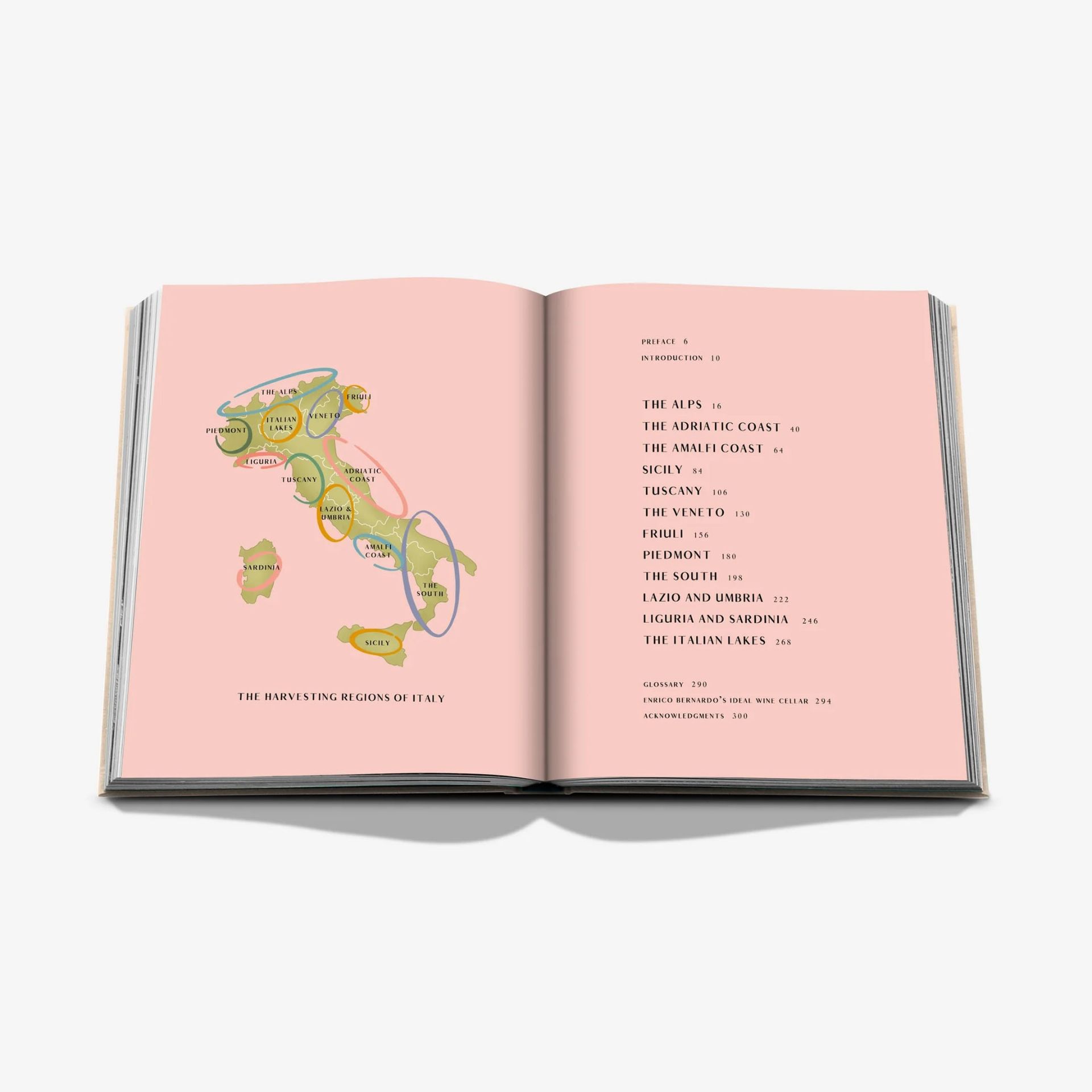 ASSOULINE Libro Wine & Travel Italy 25 x 3 x H 33 CM 9781649804181