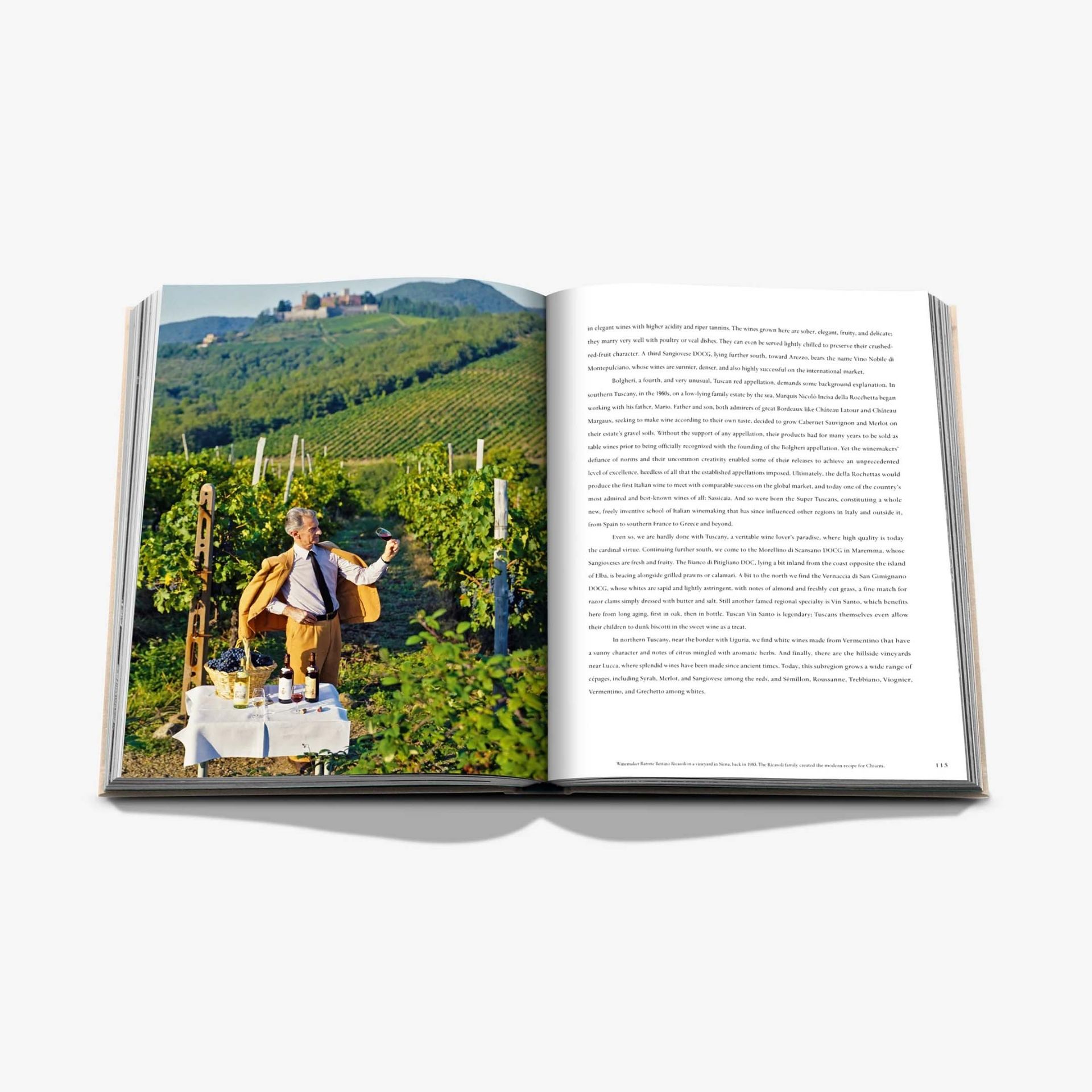 ASSOULINE Libro Wine & Travel Italy 25 x 3 x H 33 CM 9781649804181