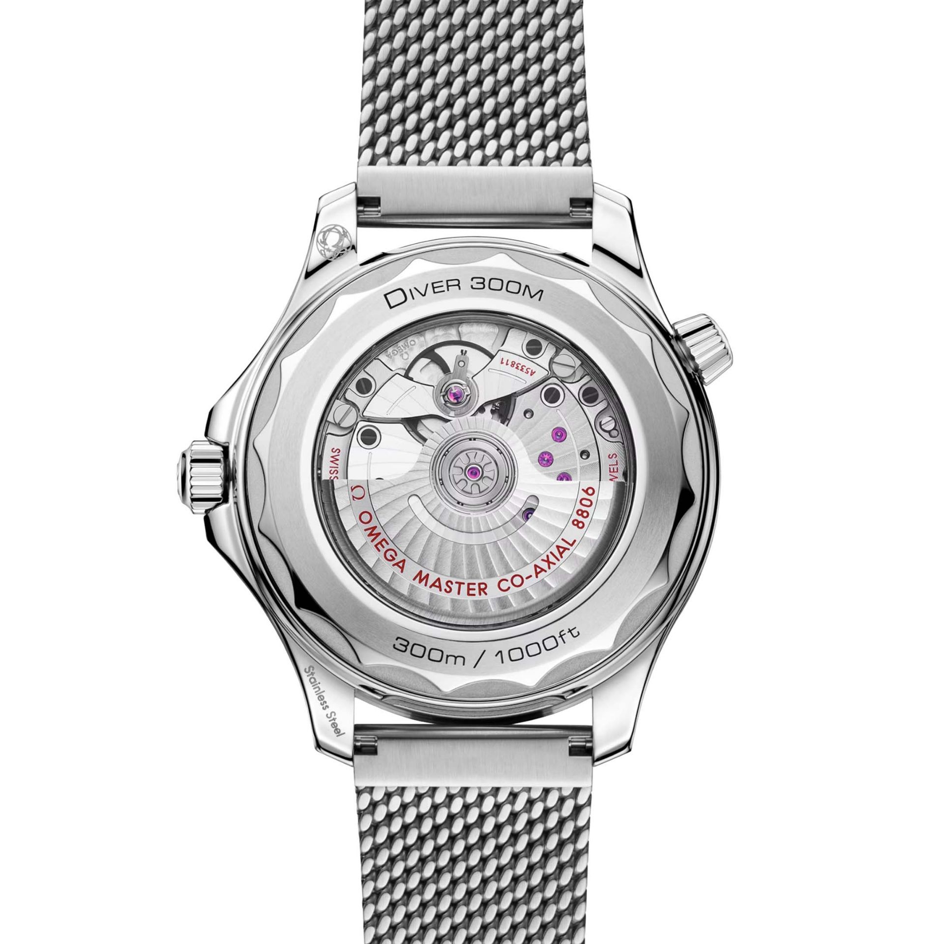 OMEGA Seamaster Diver 300M 42 MM 210.30.42.20.01.010