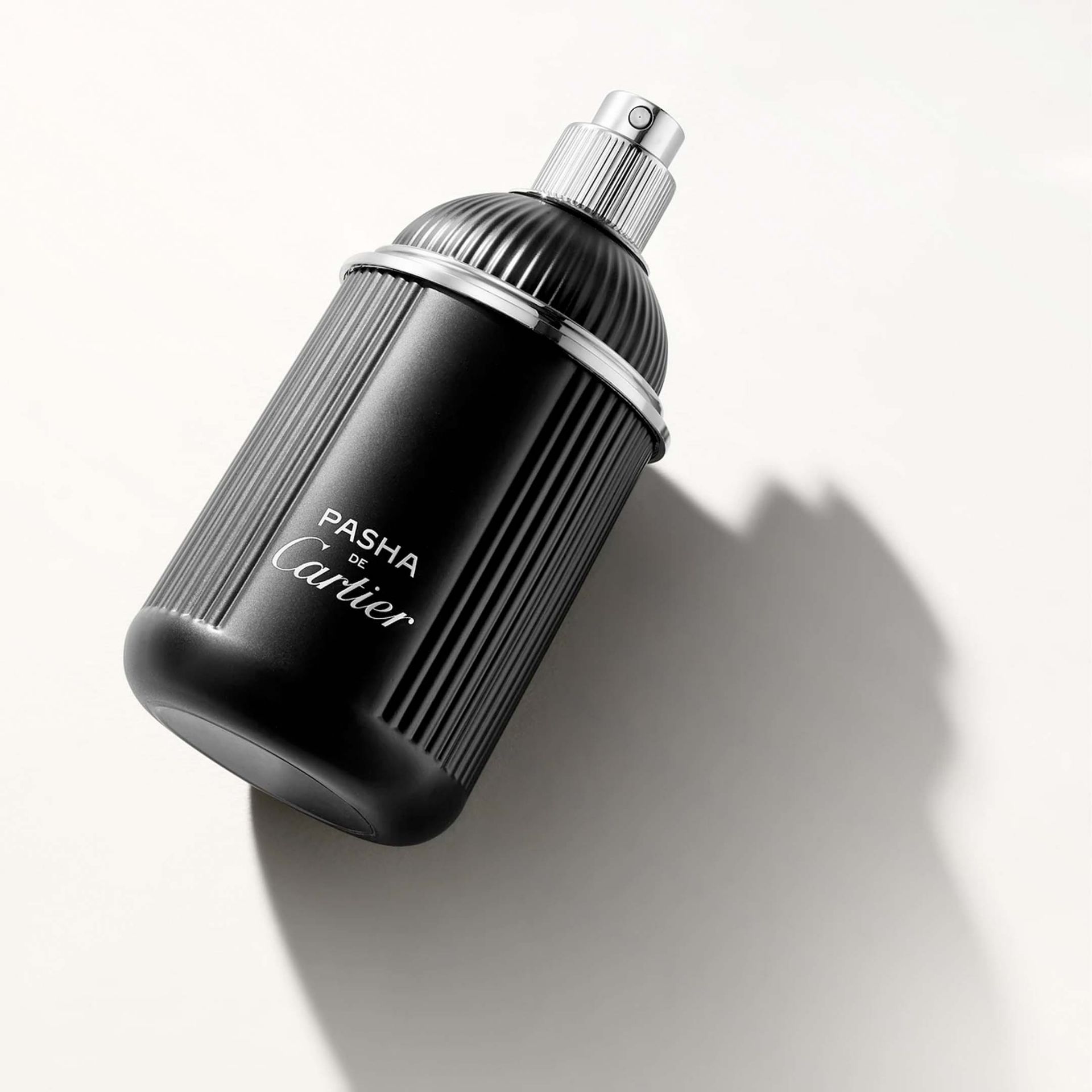 CARTIER Pasha De Cartier Edition Noir Eau De Toilette Uomo 100 ml 65100037