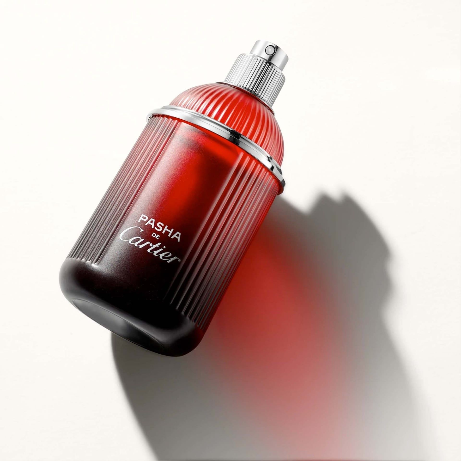 CARTIER Pasha De Cartier Edition Noir Sport Eau De Toilette Uomo 100 ml 65100038