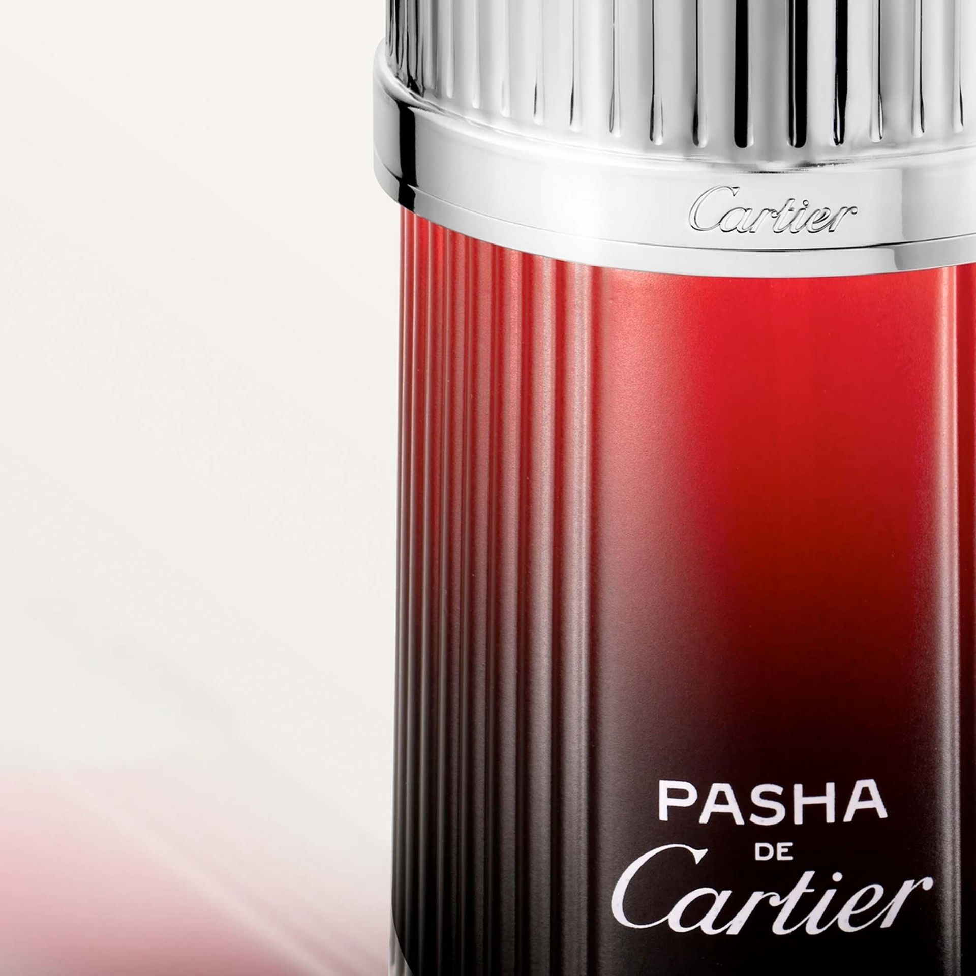 CARTIER Pasha De Cartier Edition Noir Sport Eau De Toilette Uomo 100 ml 65100038