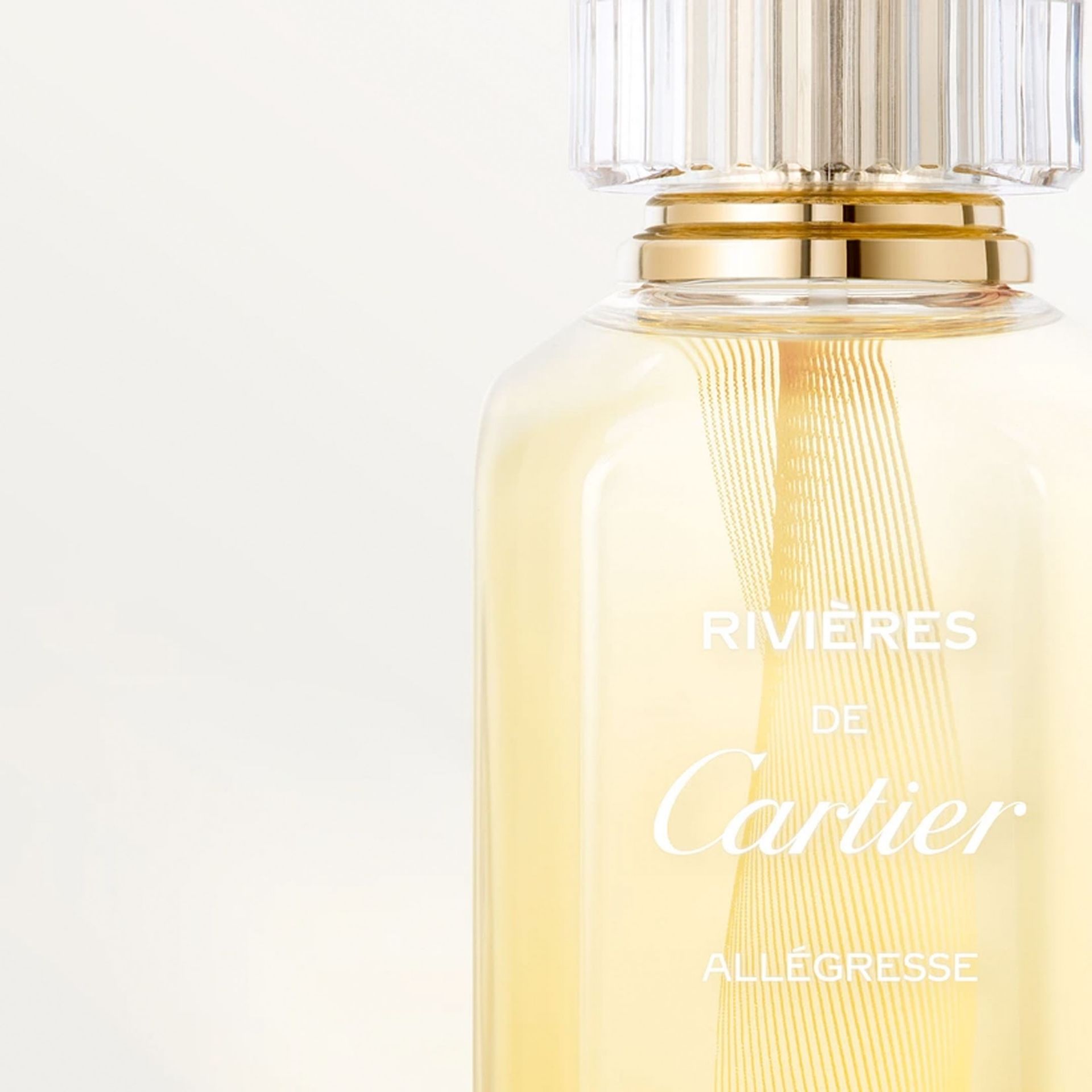 CARTIER Rivières De Cartier Allègresse 100ml FI100002