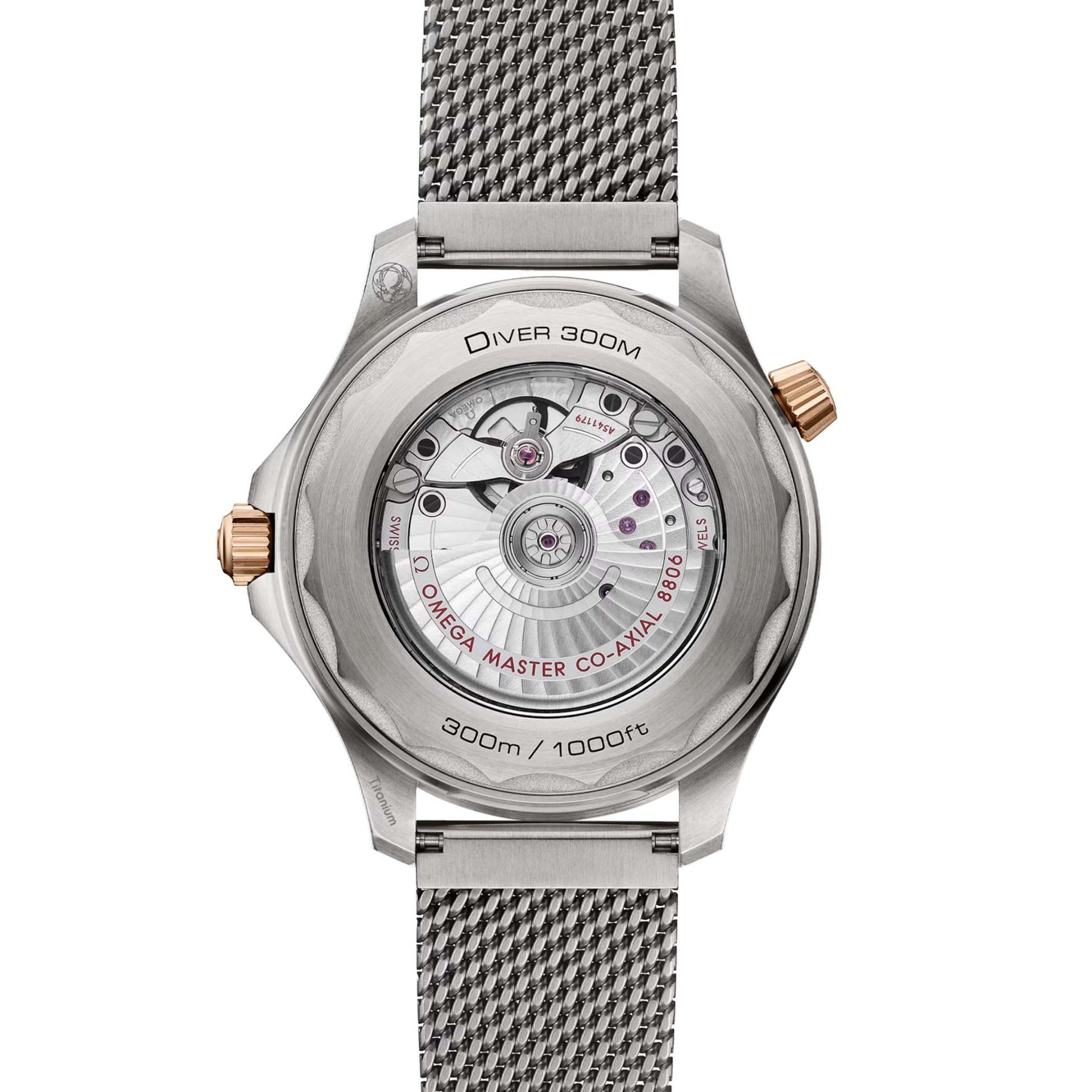 OMEGA Seamaster Diver 300M 42 MM 210.90.42.20.10.001