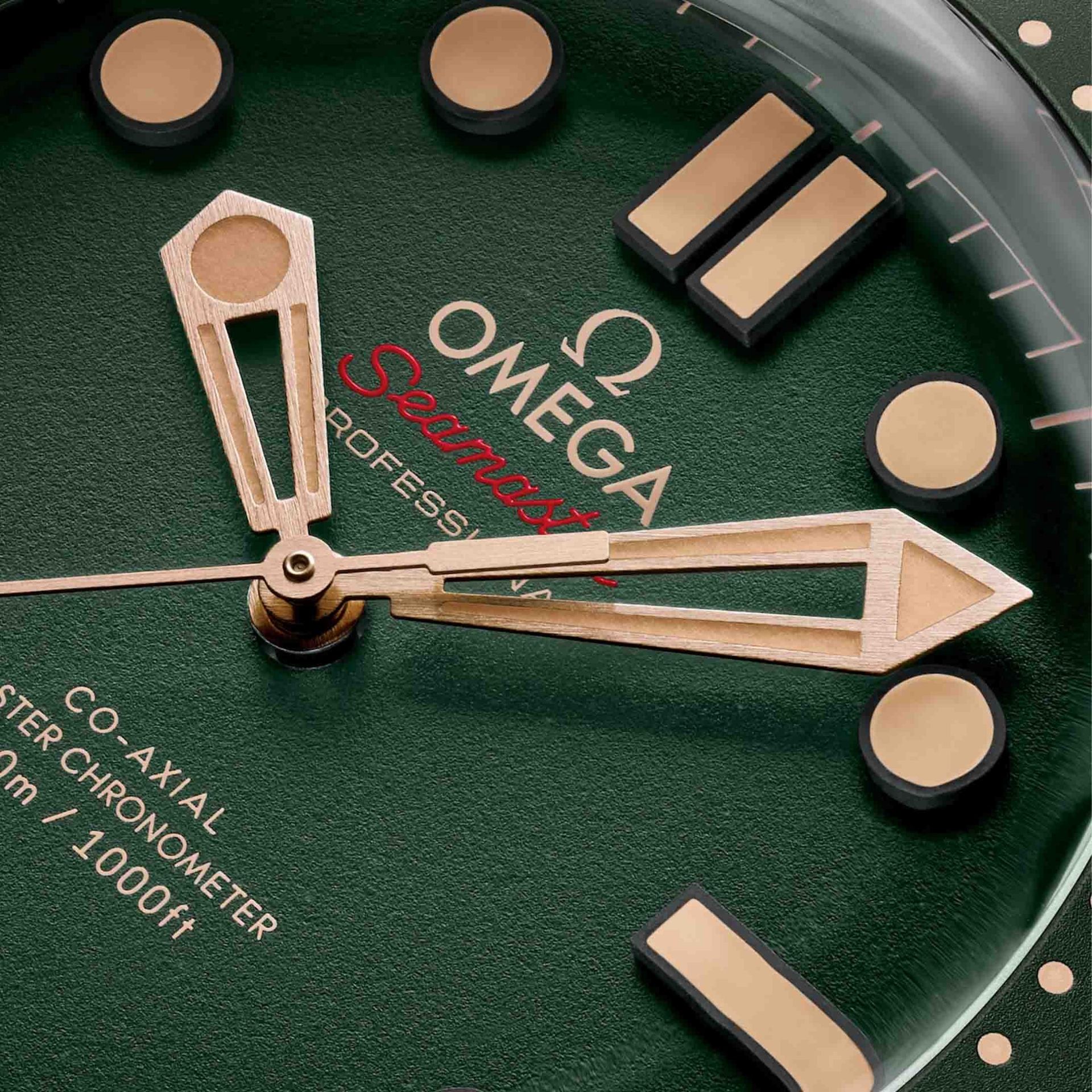 OMEGA Seamaster Diver 300M 42 MM 210.90.42.20.10.001