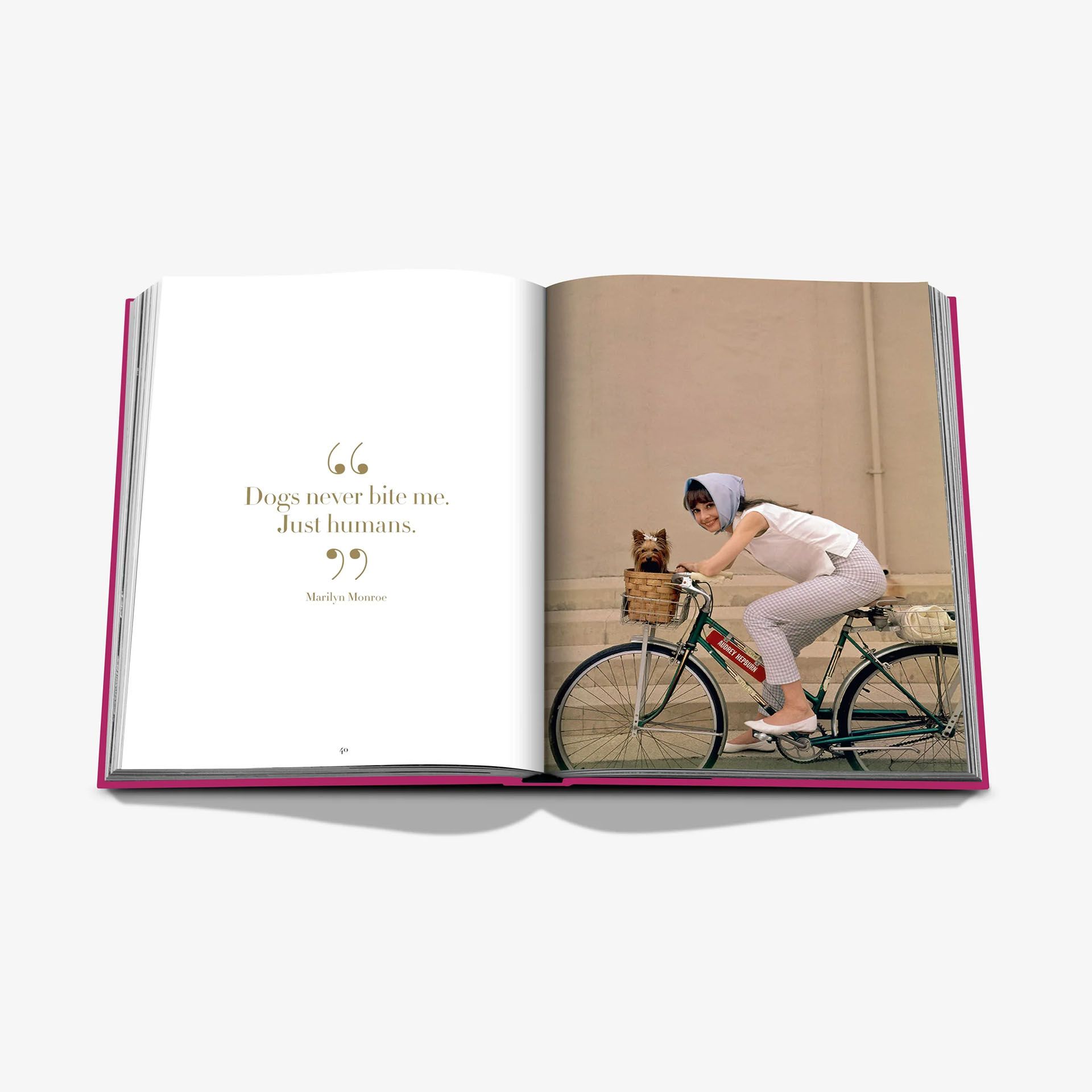 ASSOULINE Libro Chic Dogs 25 x 4 x H 33 CM 9781649804419