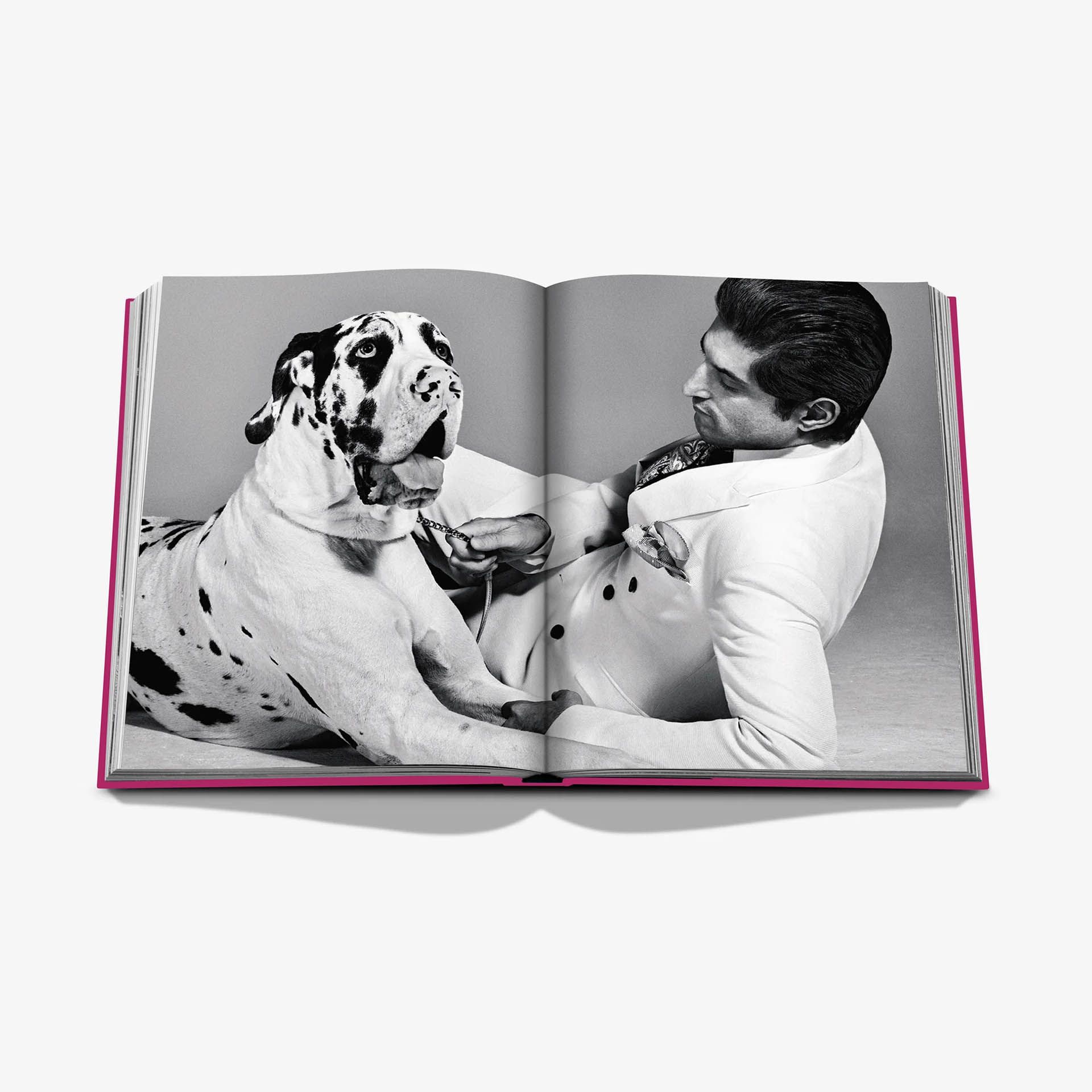ASSOULINE Libro Chic Dogs 25 x 4 x H 33 CM 9781649804419