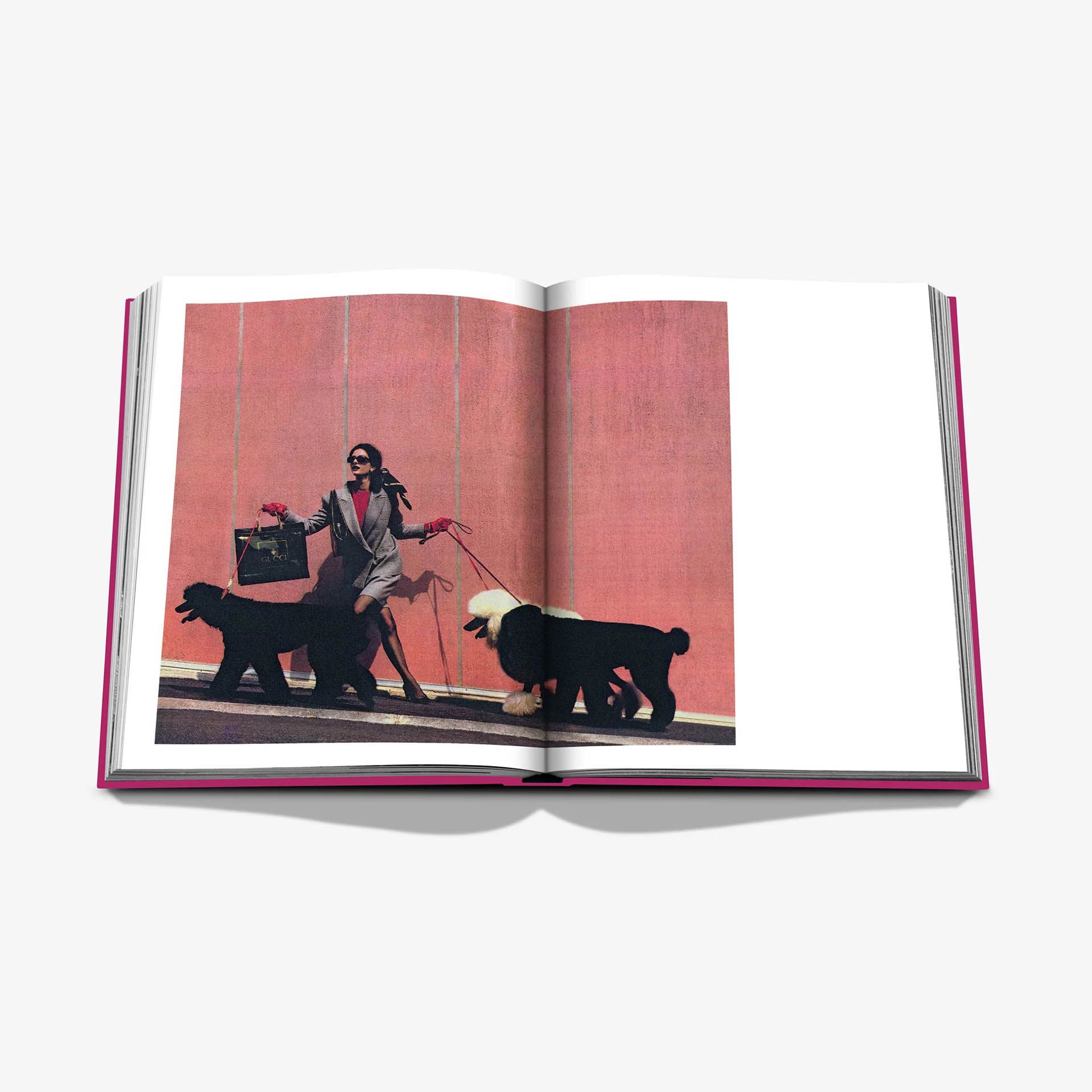 ASSOULINE Libro Chic Dogs 25 x 4 x H 33 CM 9781649804419