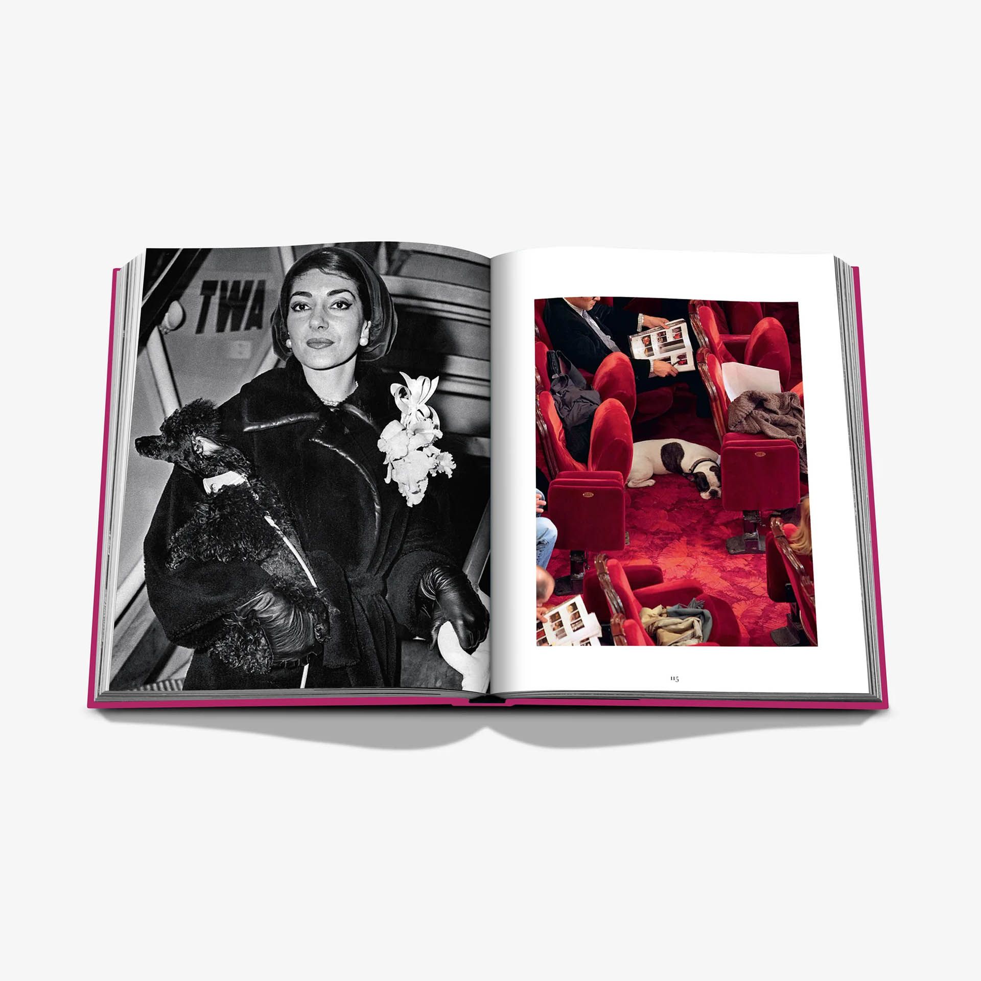 ASSOULINE Libro Chic Dogs 25 x 4 x H 33 CM 9781649804419